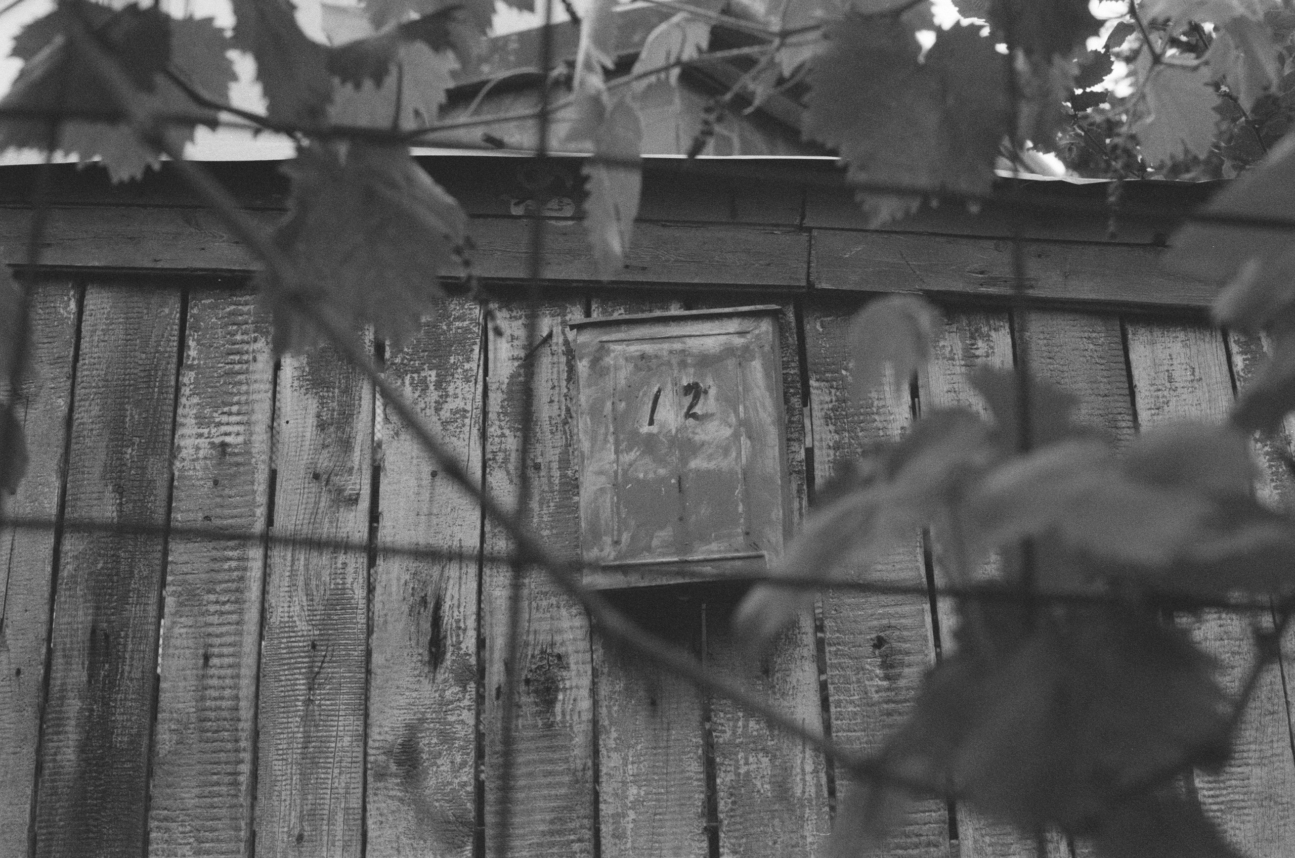 Plastinki // ukraine, crimea III. EVER EXPOSED