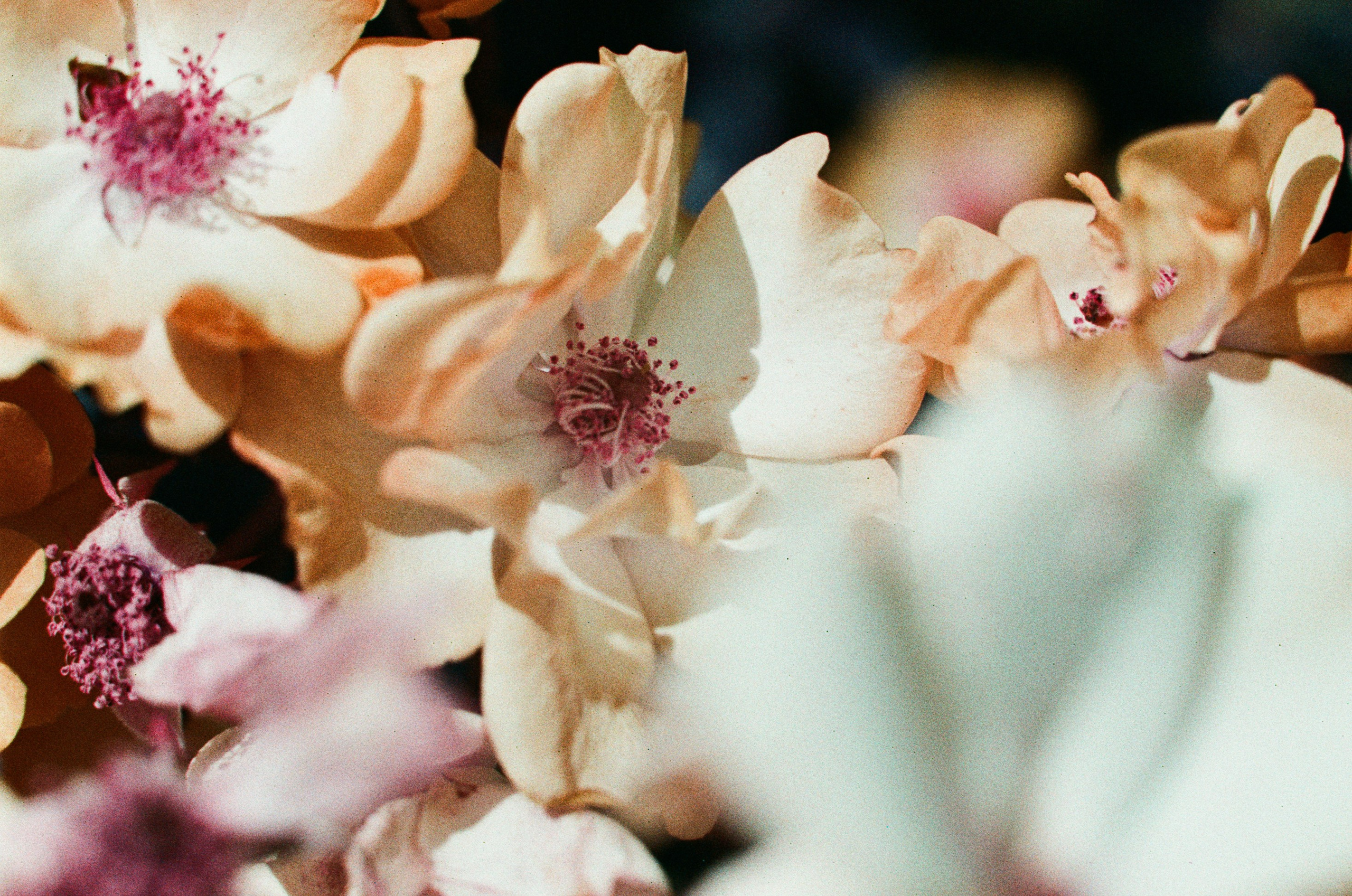 Point of no reply // ukraine, crimea IV. EVER EXPOSED