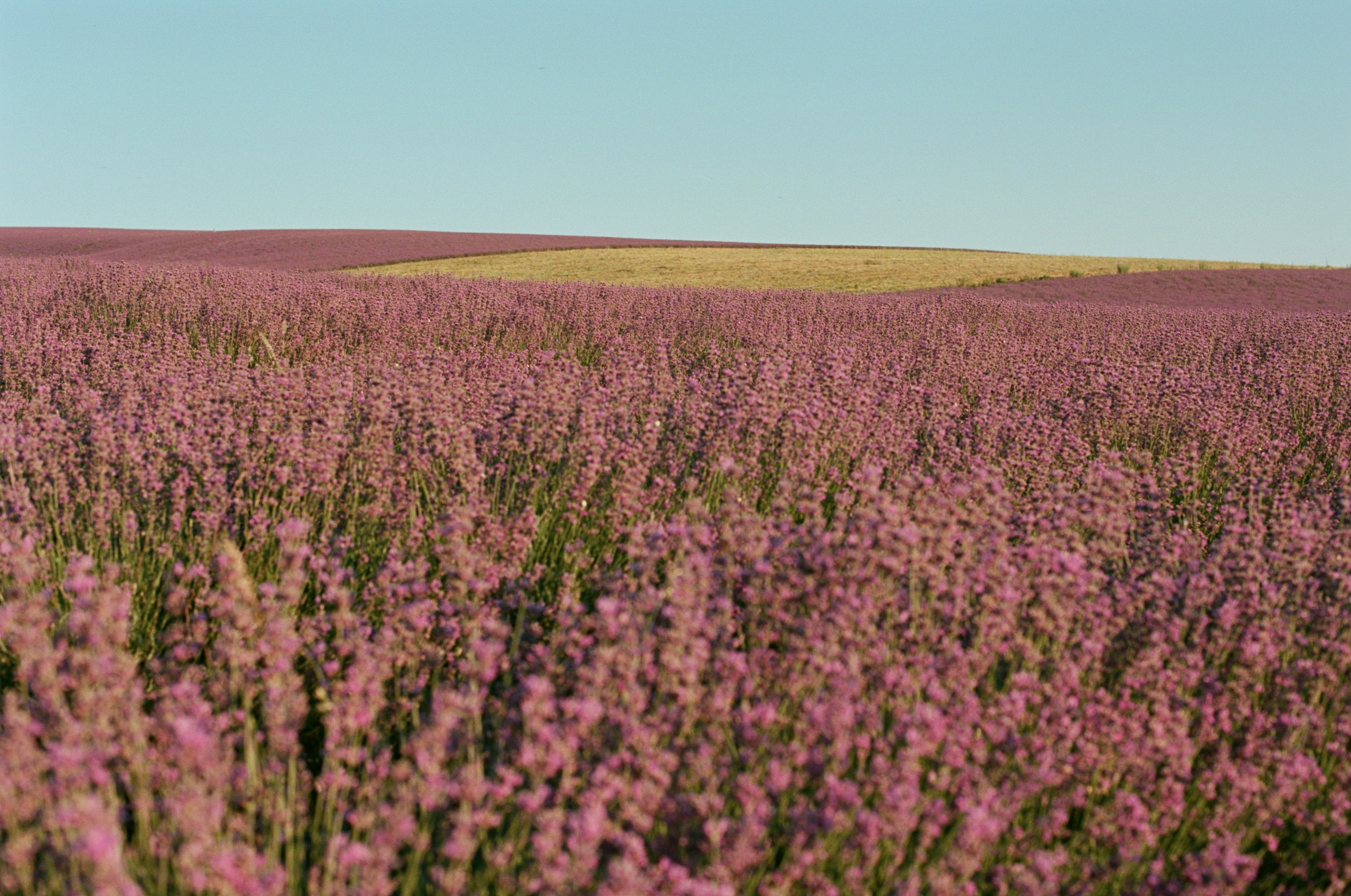 Silent running // ukraine, crimea VI. EVER EXPOSED