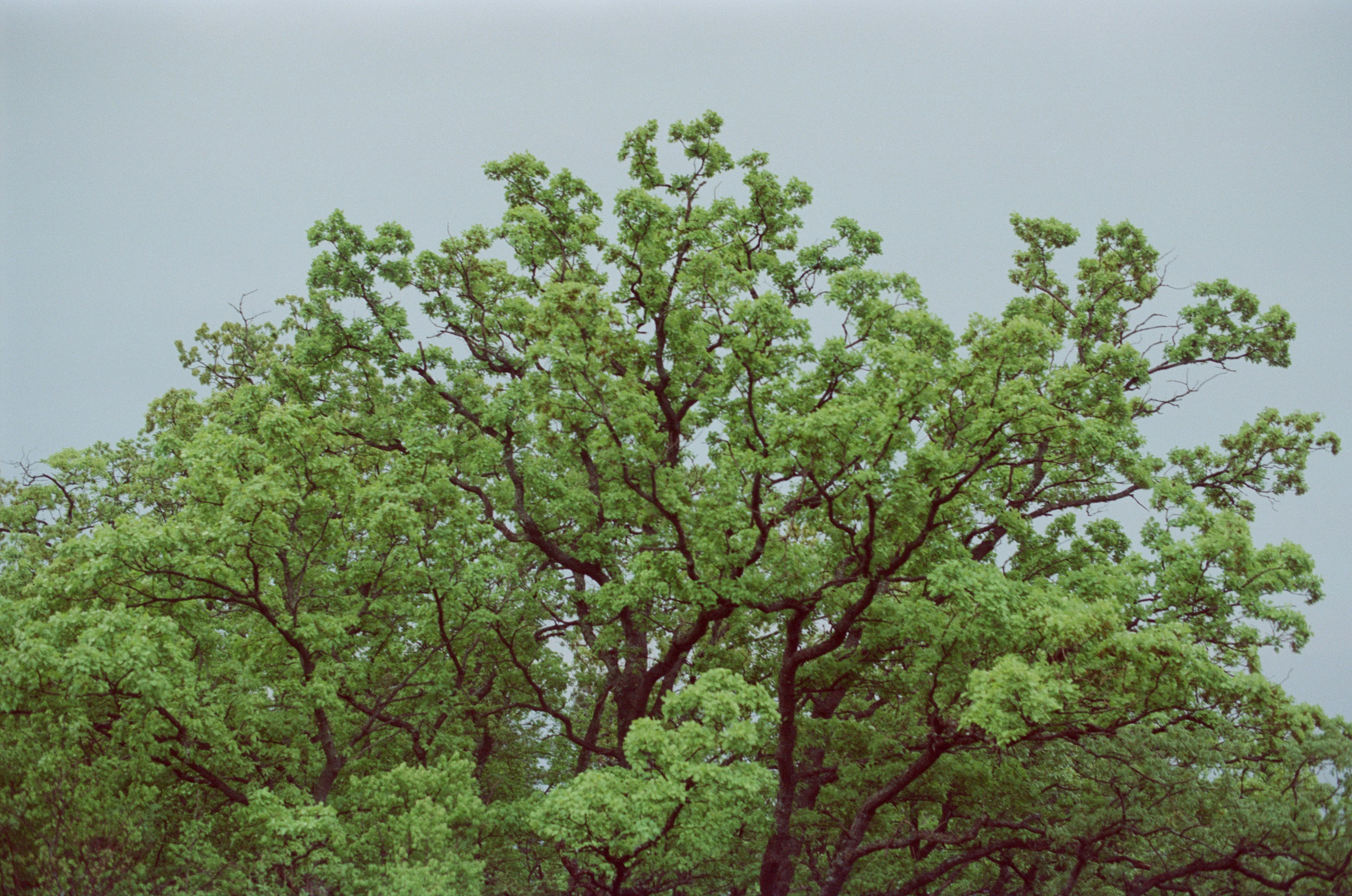 Follow you // ukraine, crimea. EVER EXPOSED