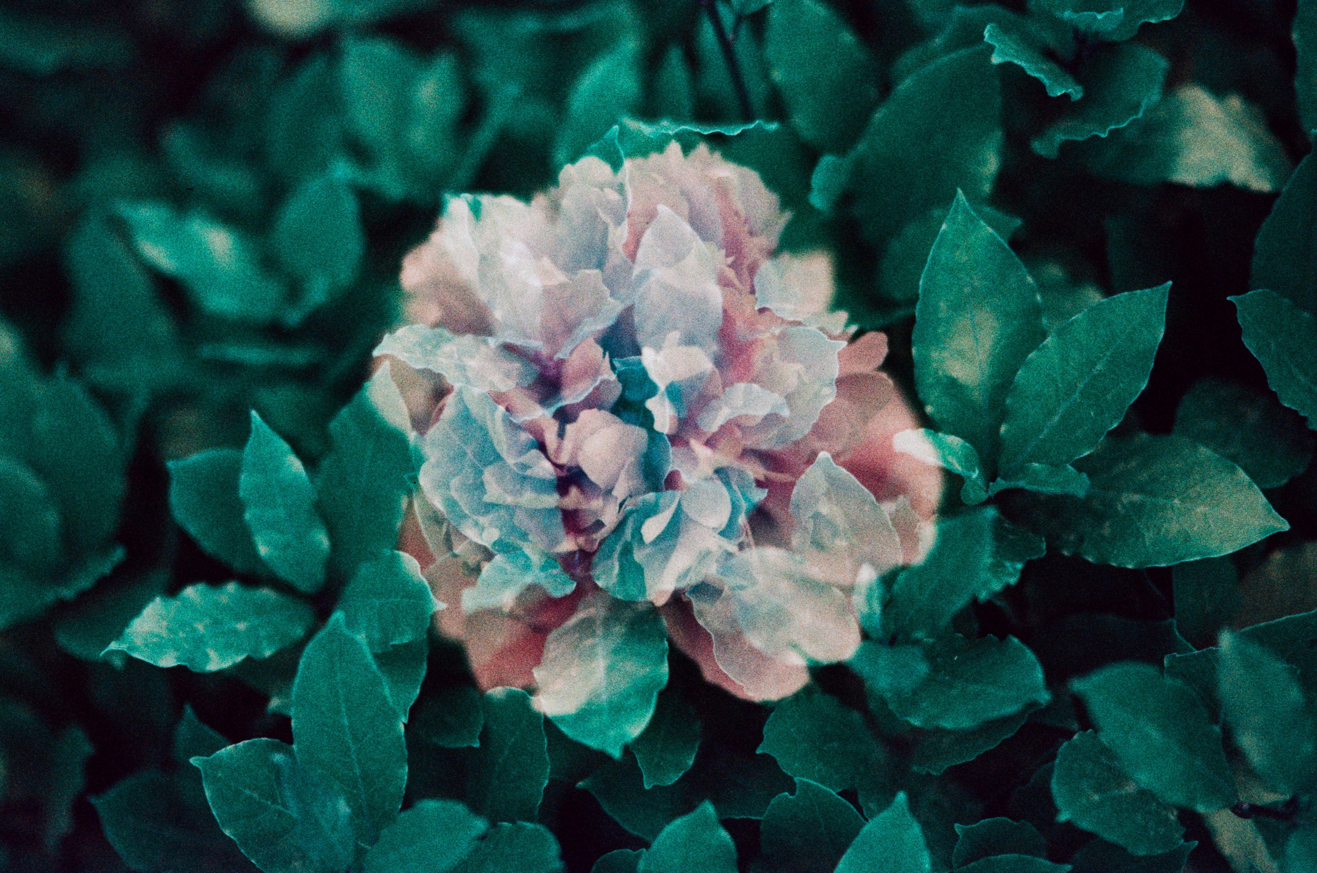 Pain shopping // ukraine, crimea III. EVER EXPOSED