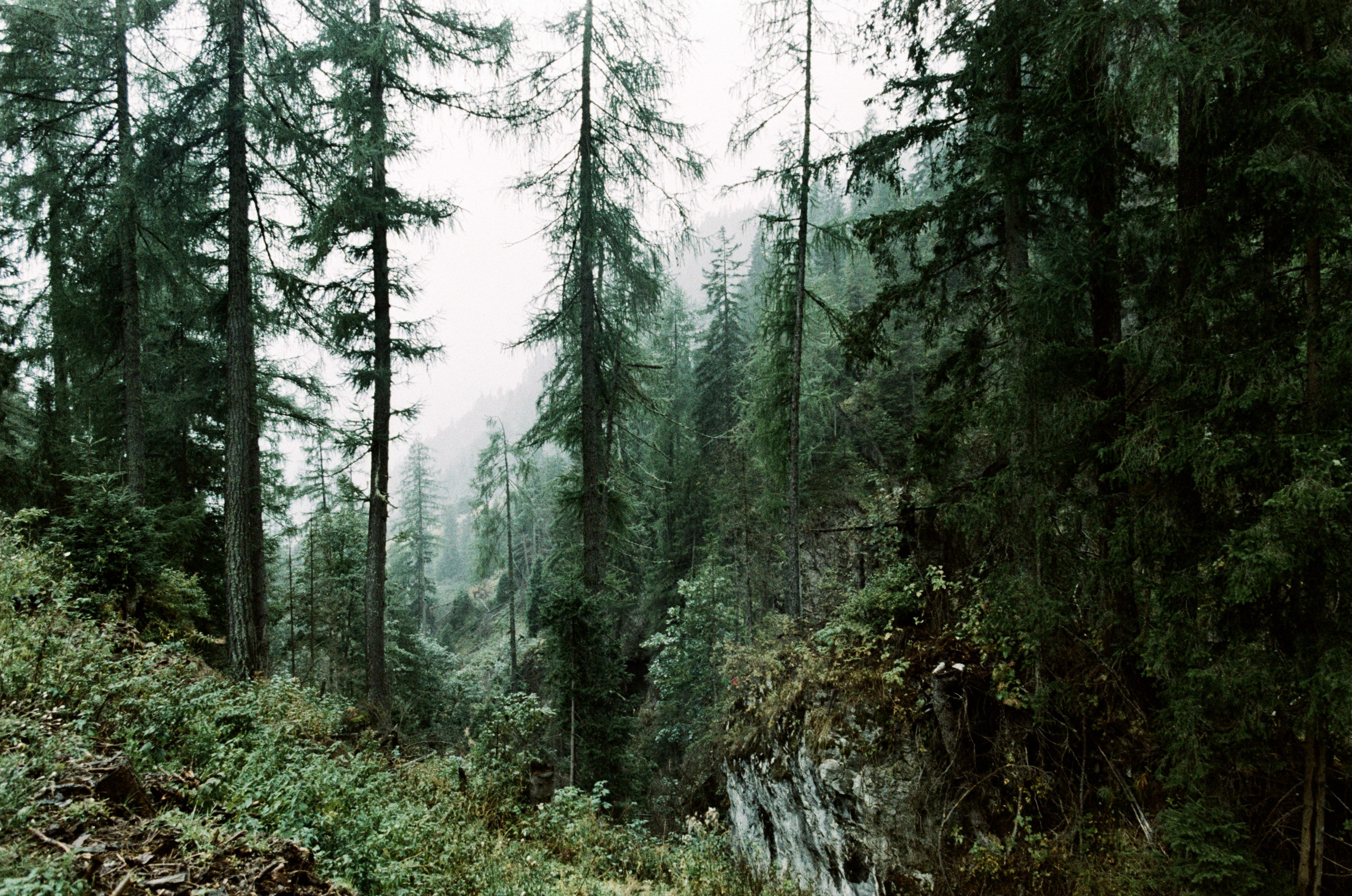 Wasted // italy, dolomites II. EVER EXPOSED