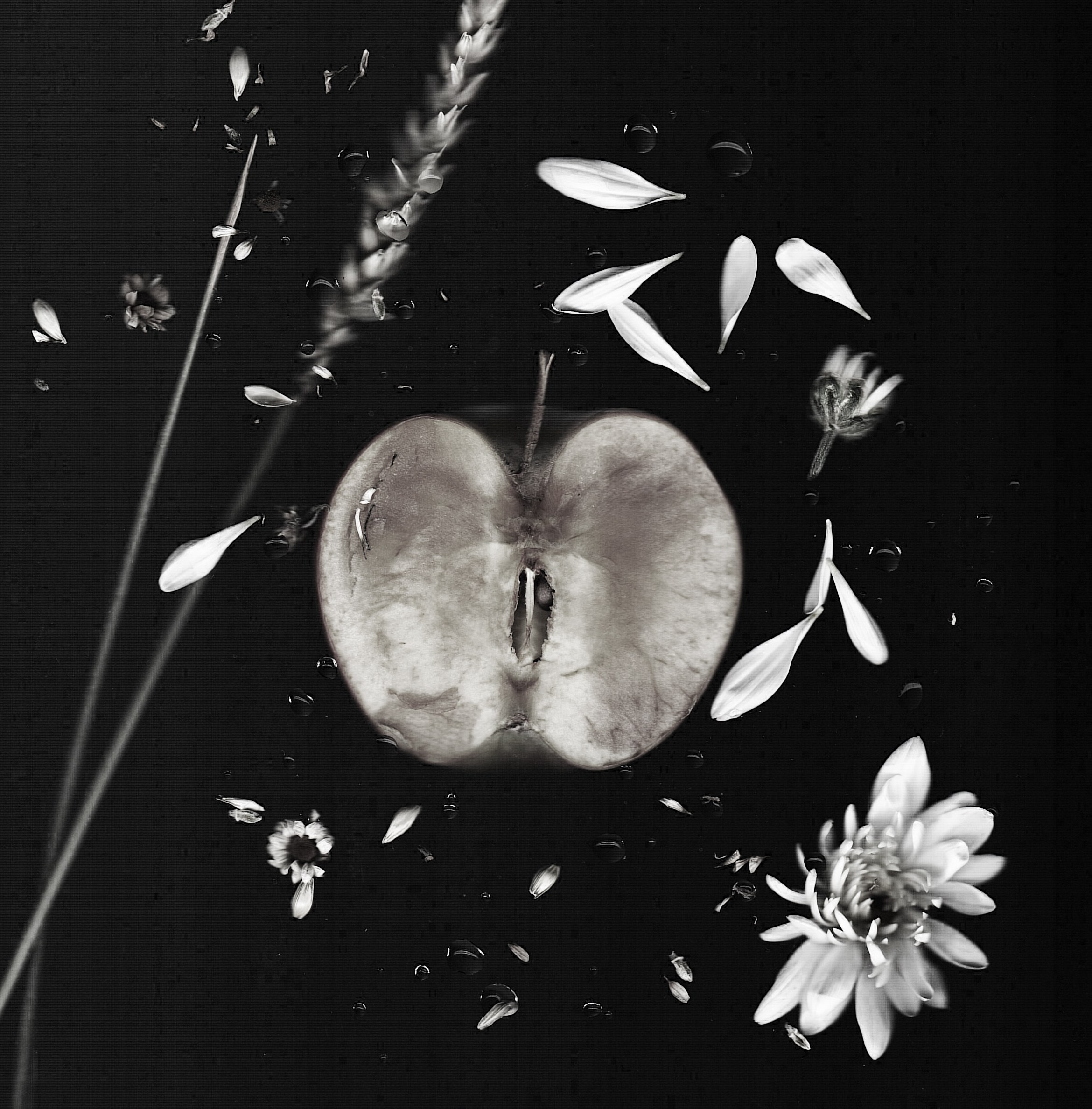 Картинки. Сандра Ковалева | ЧБ фотограф