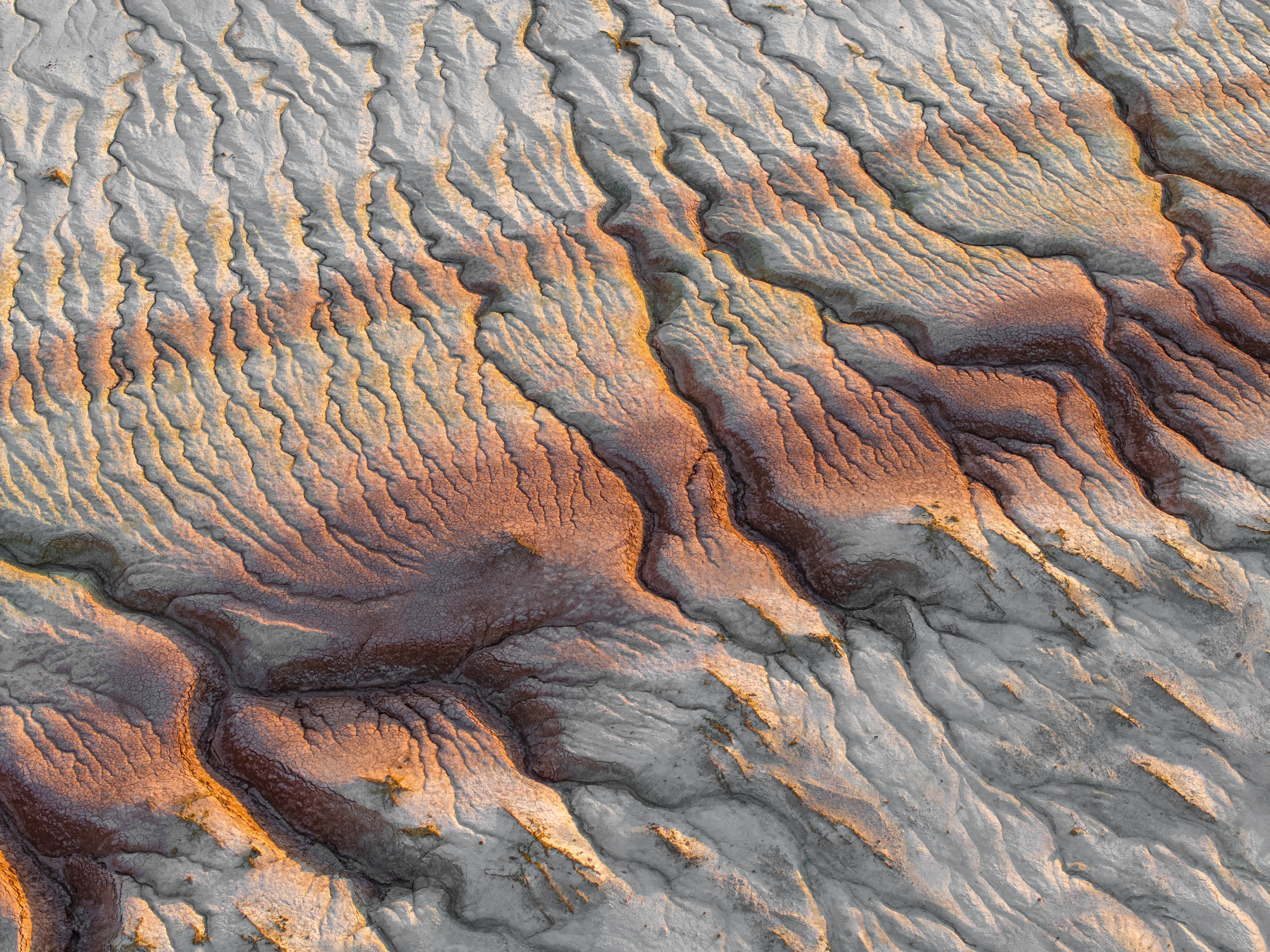 Крупный план + Арт. Daria wanderer photography