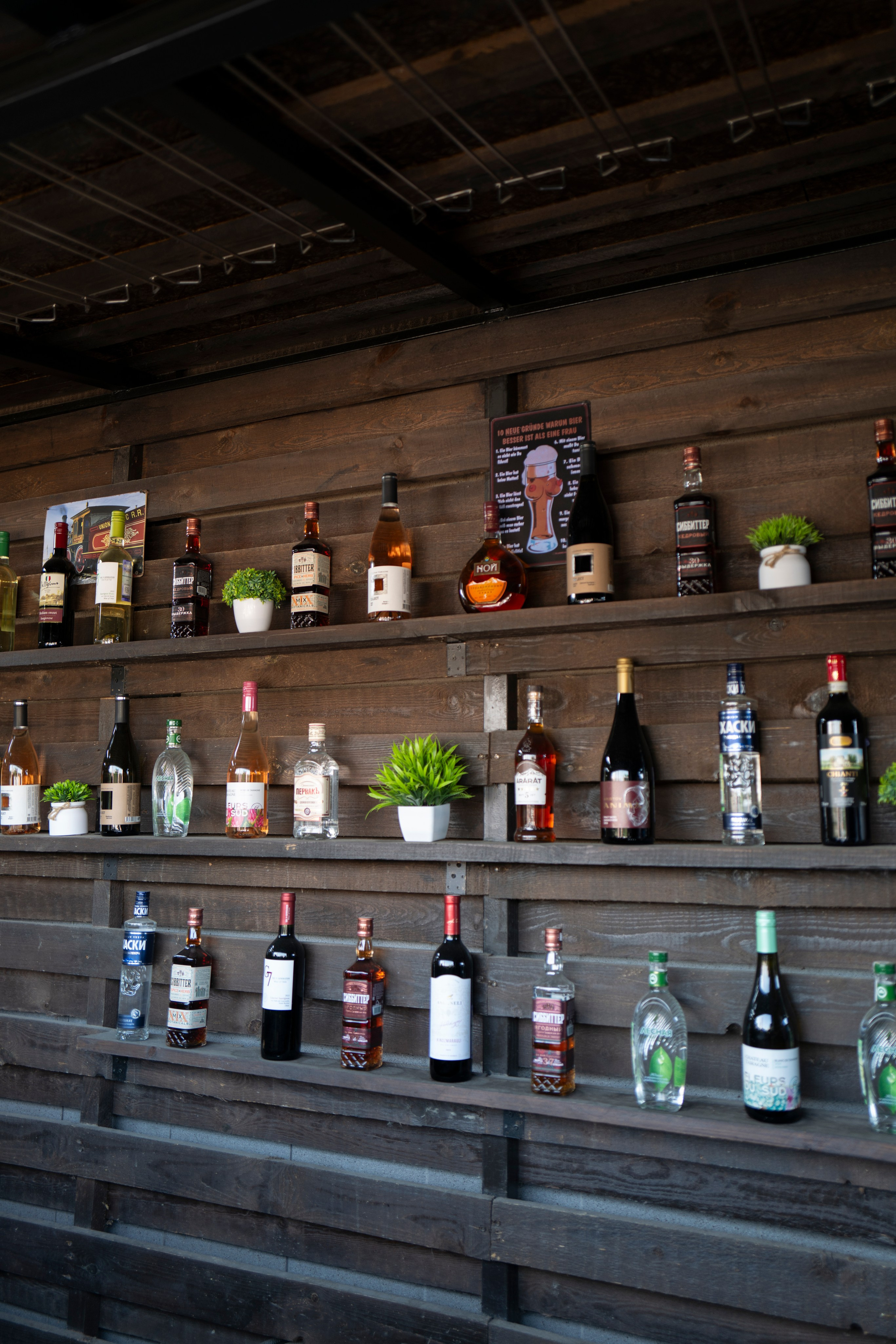 Рестораны. Maxon Magnusson