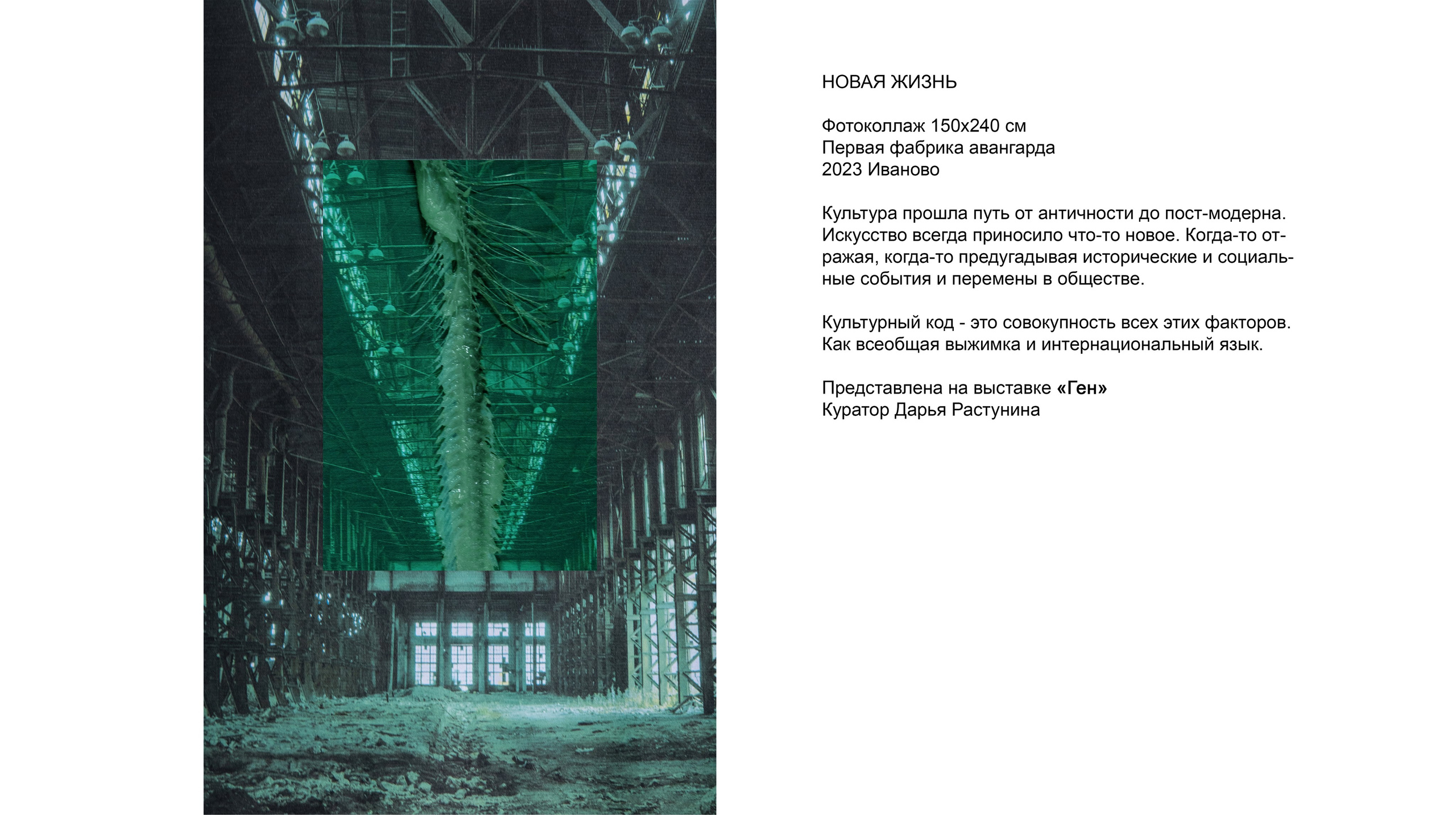 Выставки и мастерклассы. Фотограф Алла Быкова