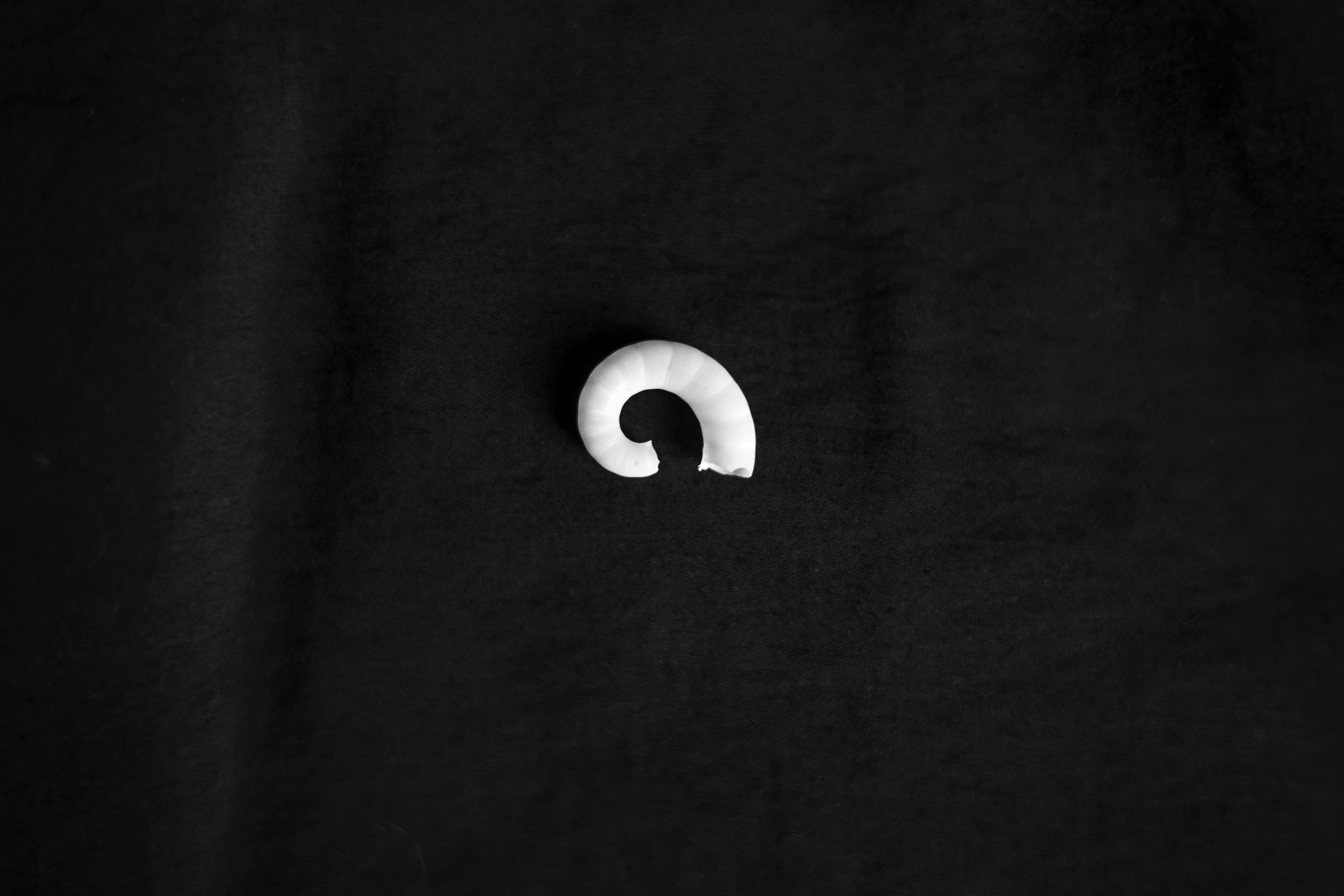 Разности. Портретный и семейный фотограф Санкт-Петербург