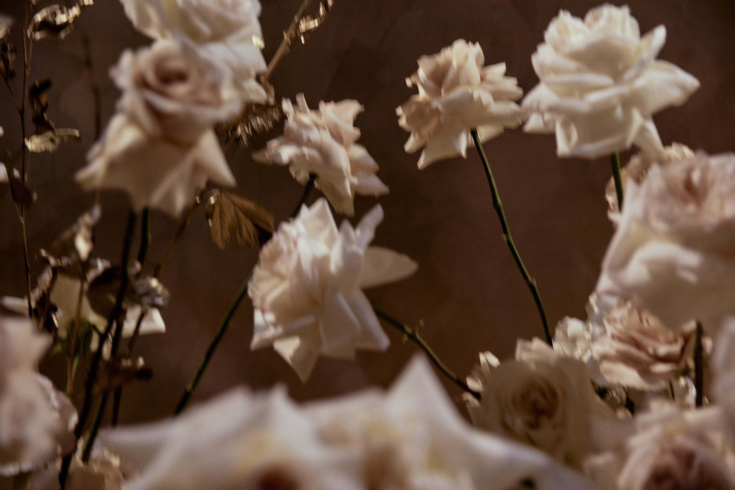 BEAUTY AND POWER. Дмитрий Мазуркевич: Профессиональный Репортажный Фотограф