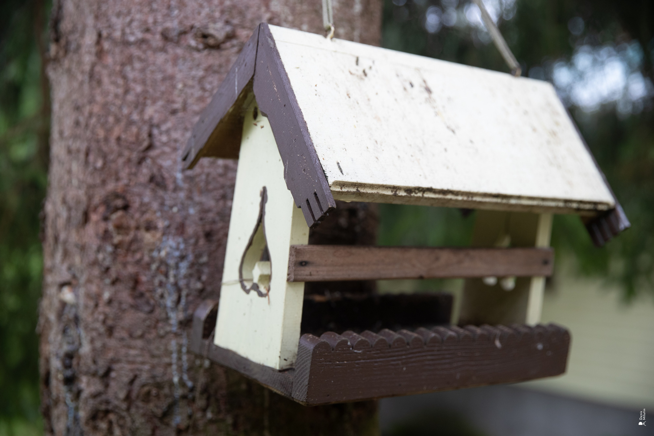 Женский Митрофаниевский скит Важеозерского мужского монастыря. Портретный фотограф Денис Милютин