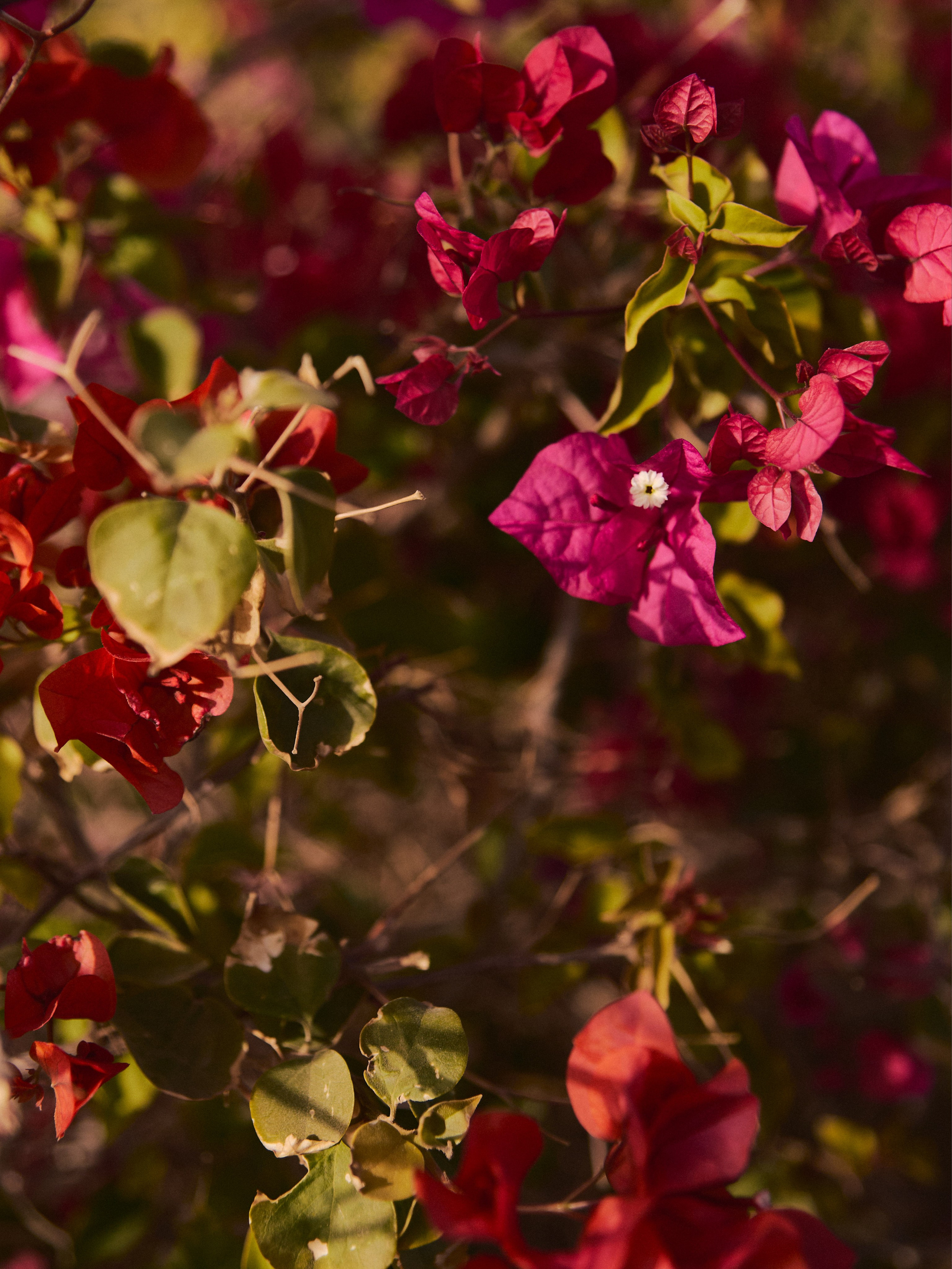 Диптих. Jorgis — фотограф в Хургаде / обучение фотографии