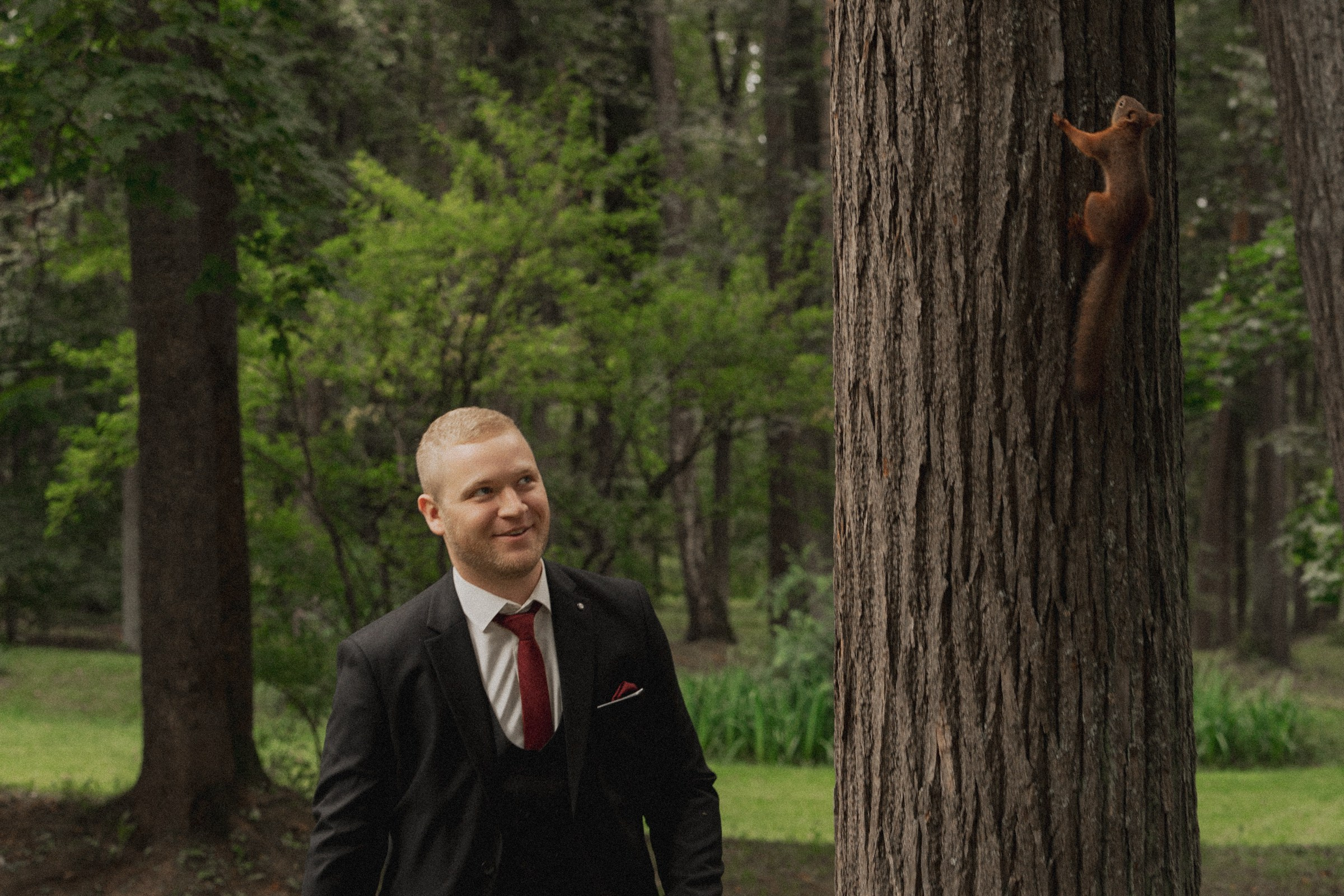 К ♡ Е — Под кроной вечности (Усадьба Остафьево). Свадебный и портретный фотограф в Москве, Светлана Янковая