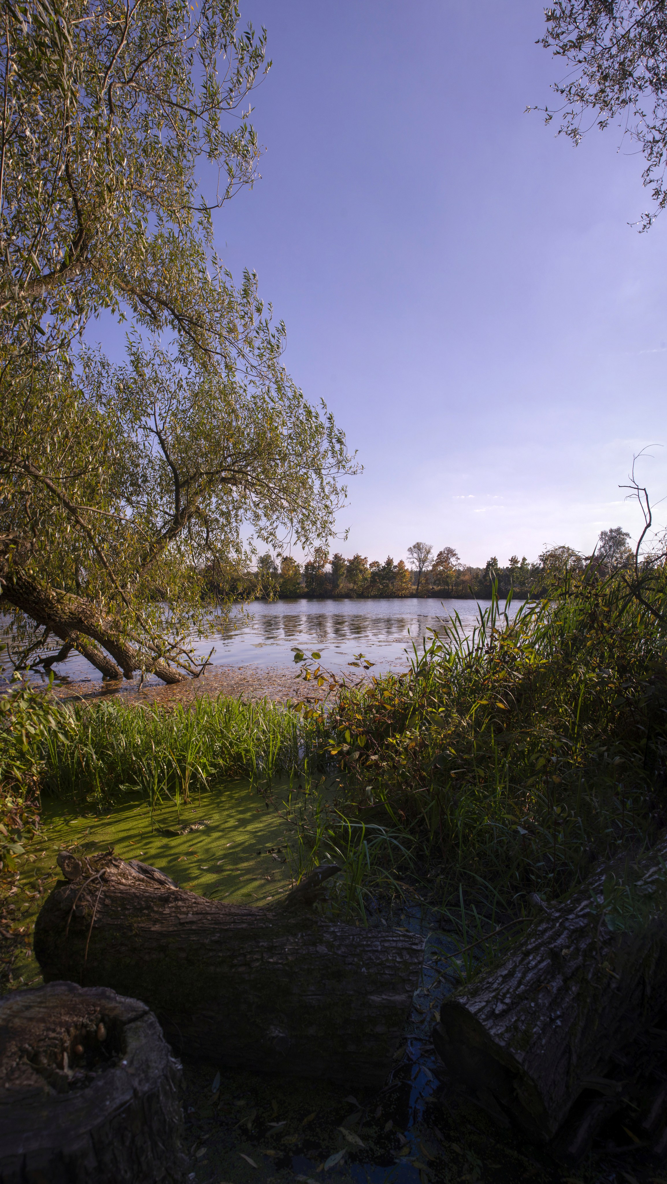 Архангельское. Сентябрь 2023. Игорь Жучков. Россия увиденная глазами путешествующего фотографа