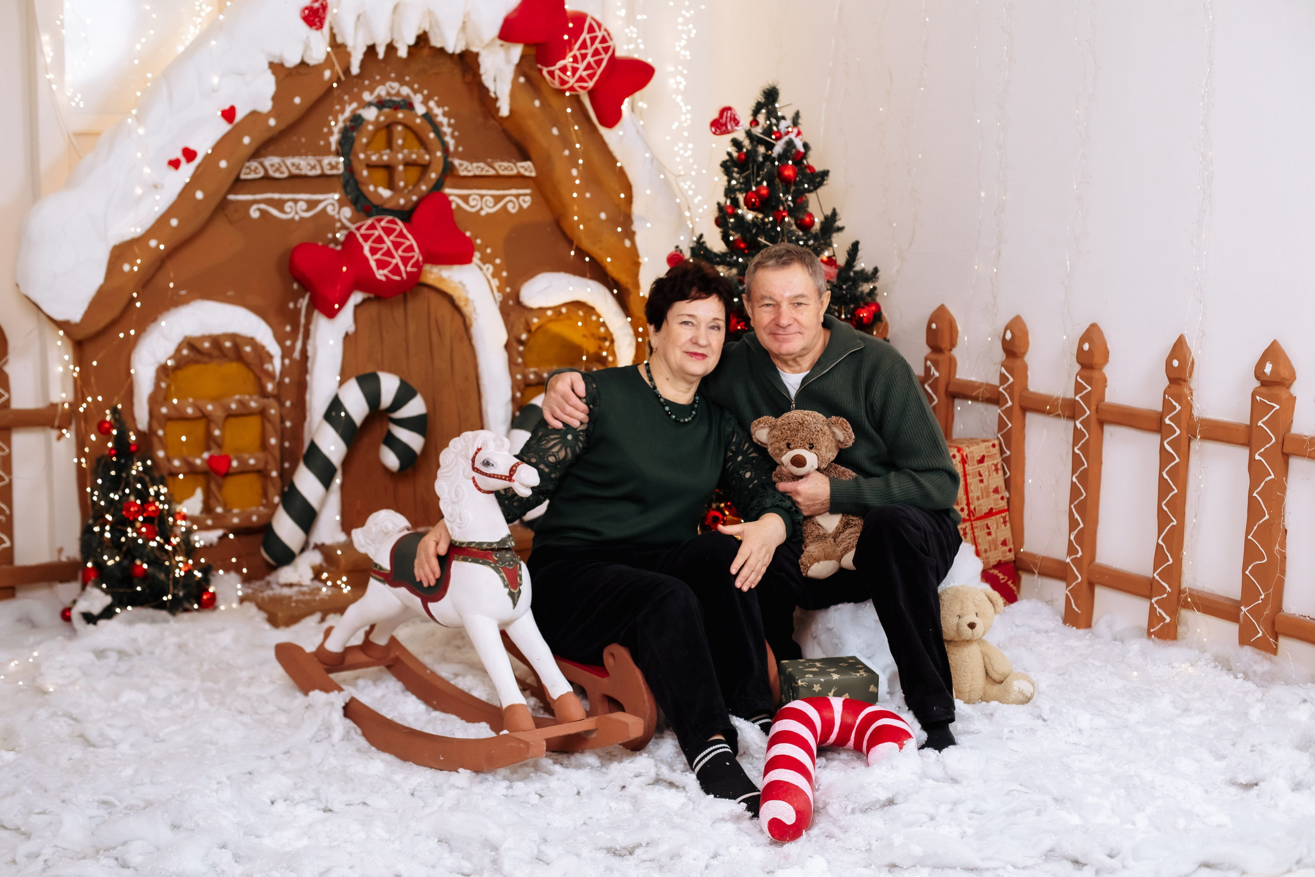 Новогодняя съемка. Https://malovafoto.ru