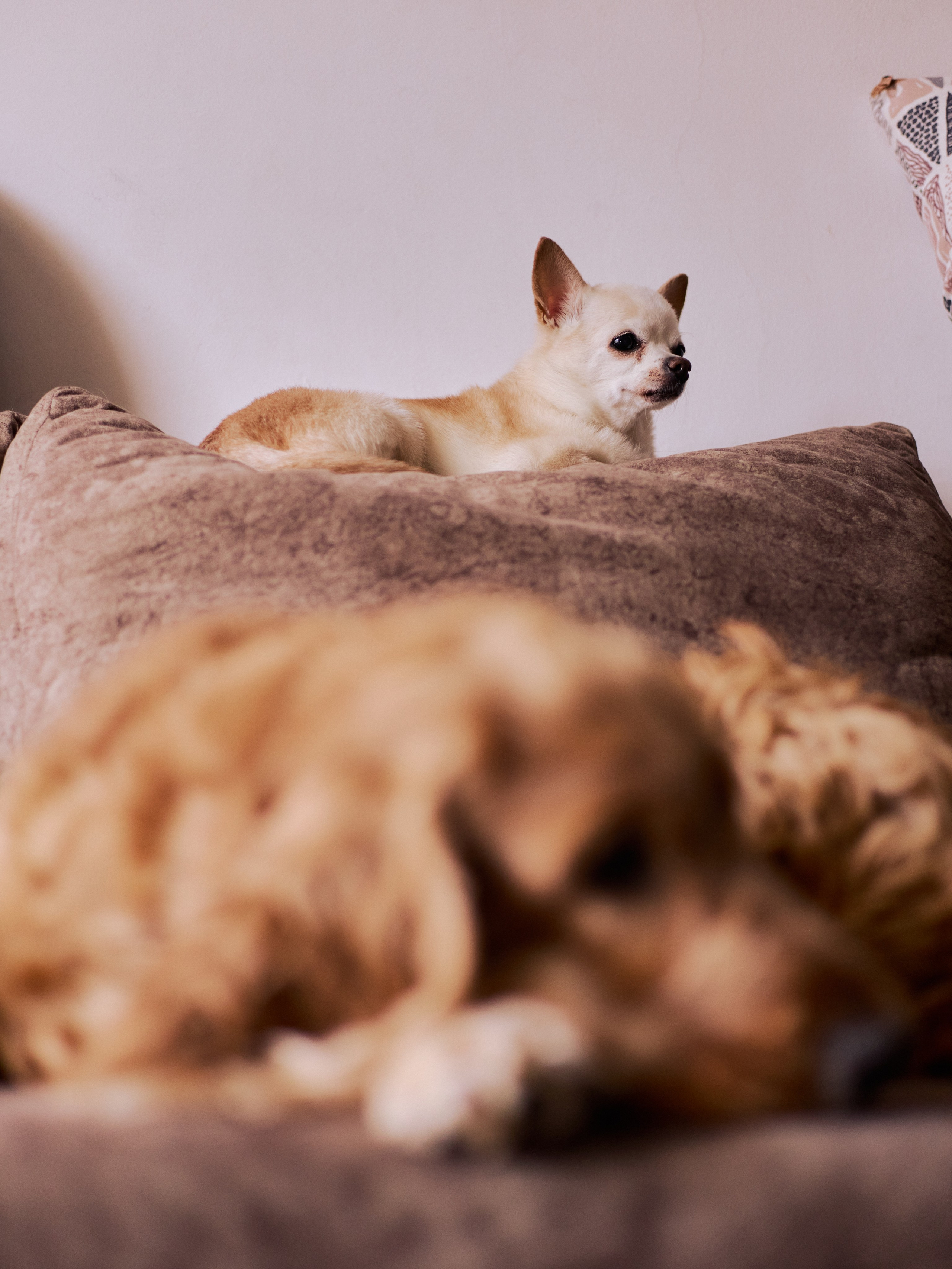 Другое 3. Jorgis Talè — photographer, kind person, teacher of arts and other mag