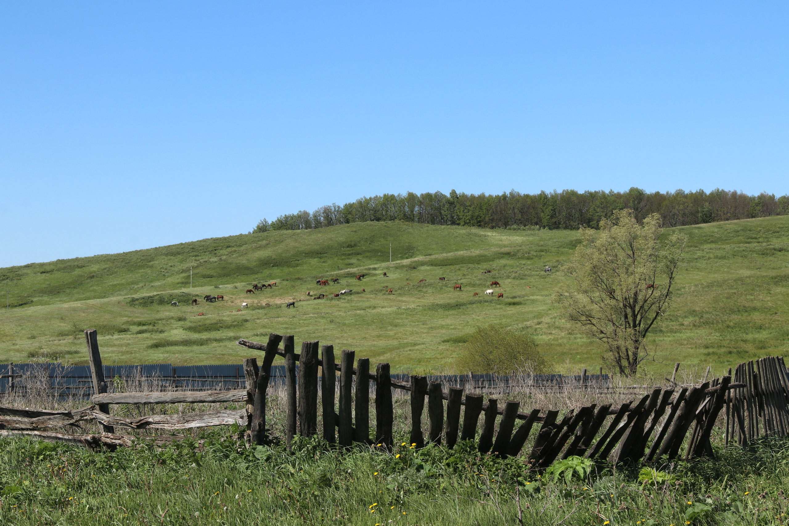 Велопоход Уфа — Мелеуз. Май 2024. Путешественник-фотограф из Санкт-Петербурга Татьяна Свистулина
