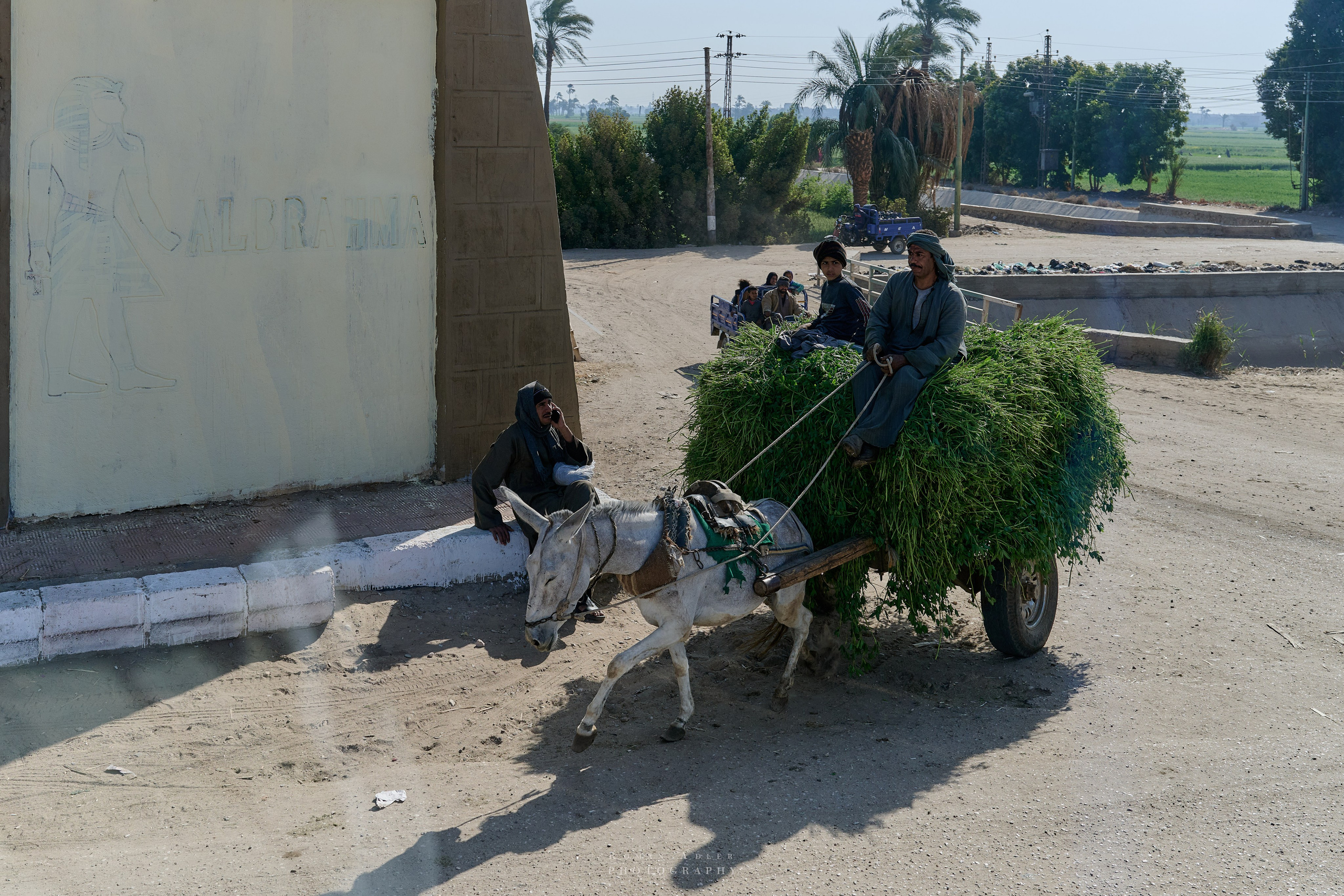 Луксор. Февраль 2025. Фотограф Роман Адлер