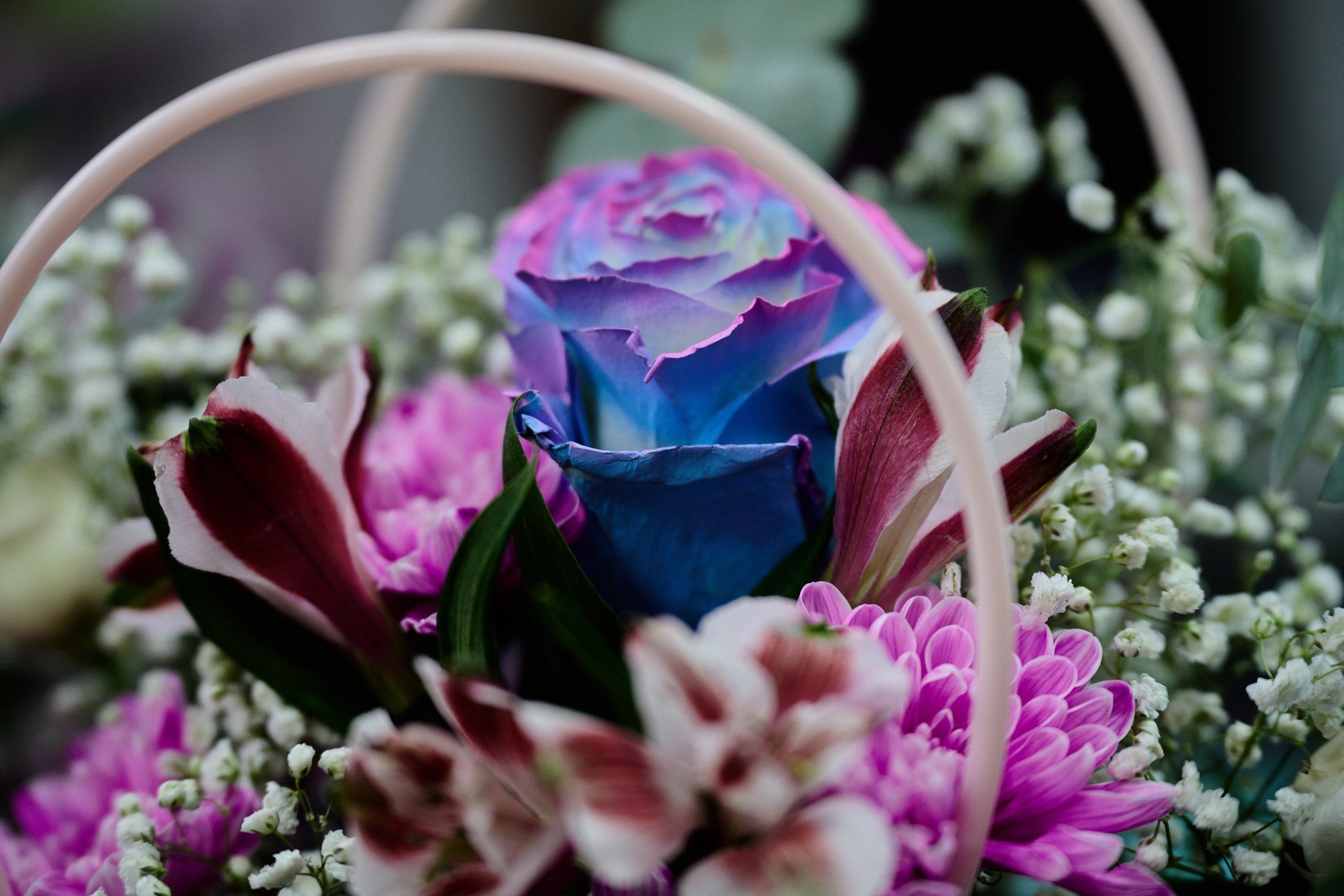 Лисичанск (Луганская область). Декабрь 2024 года. Фотограф Роман Адлер