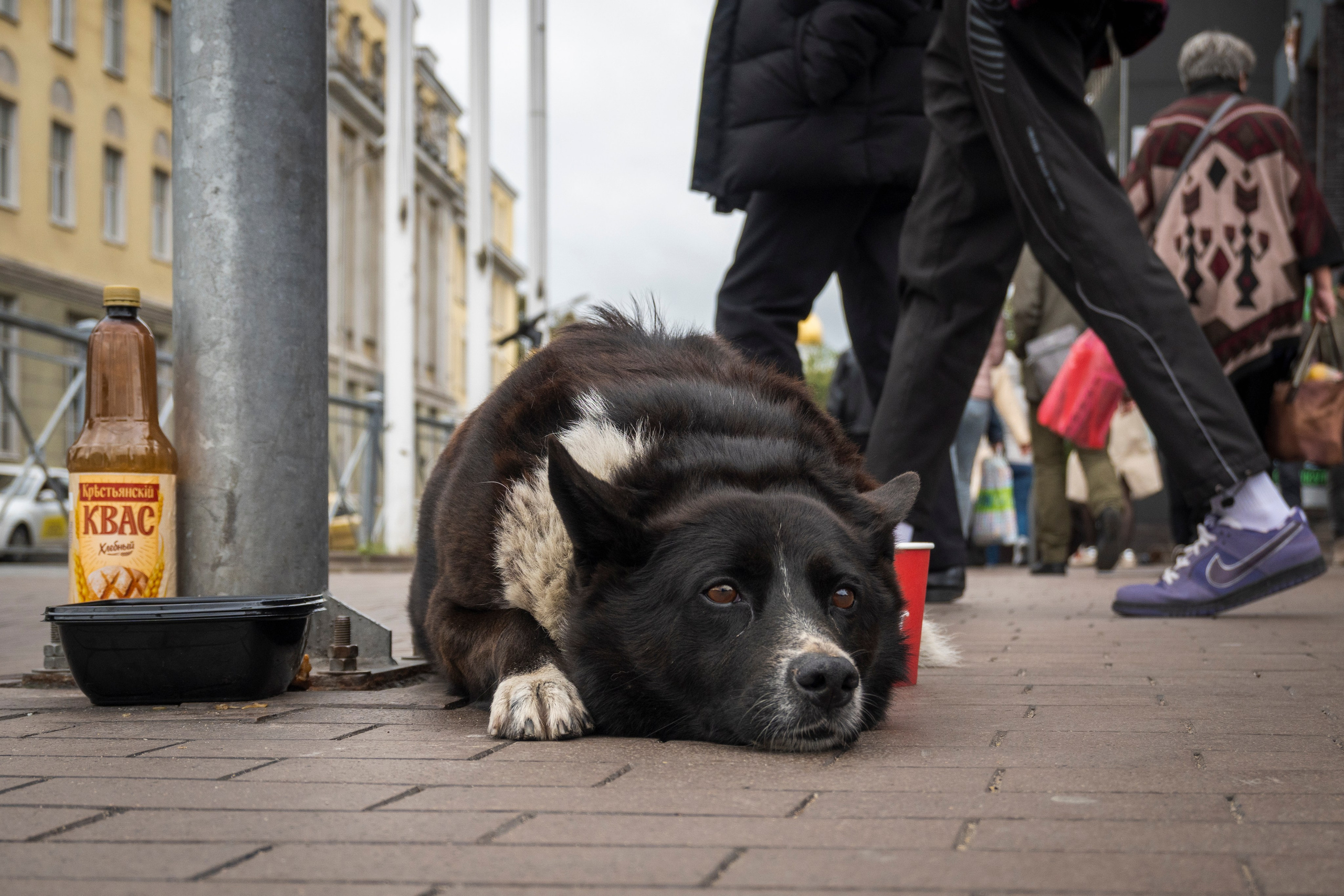 Калининград. Октябрь 2023. Фотограф Роман Адлер