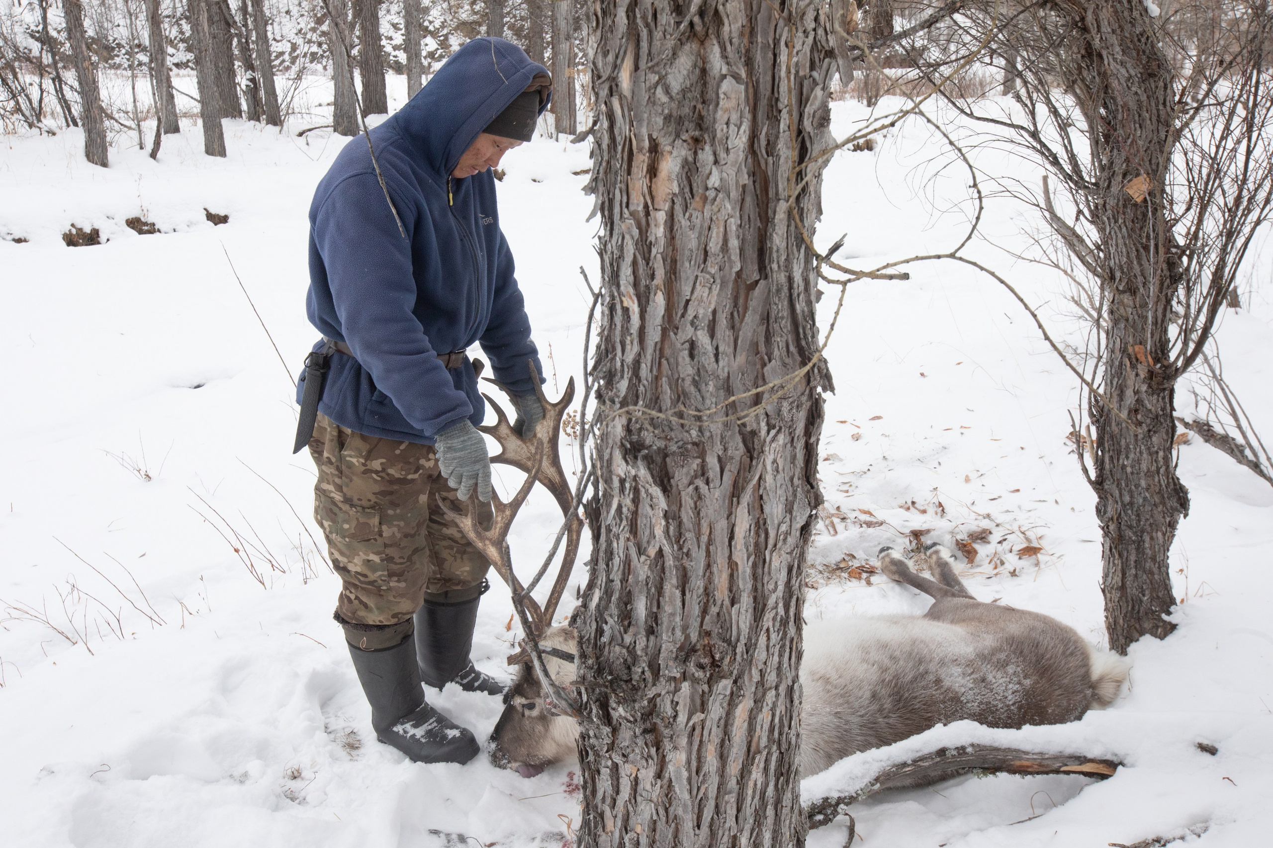 Не забудь накормить озеро. Natalya Madilyan