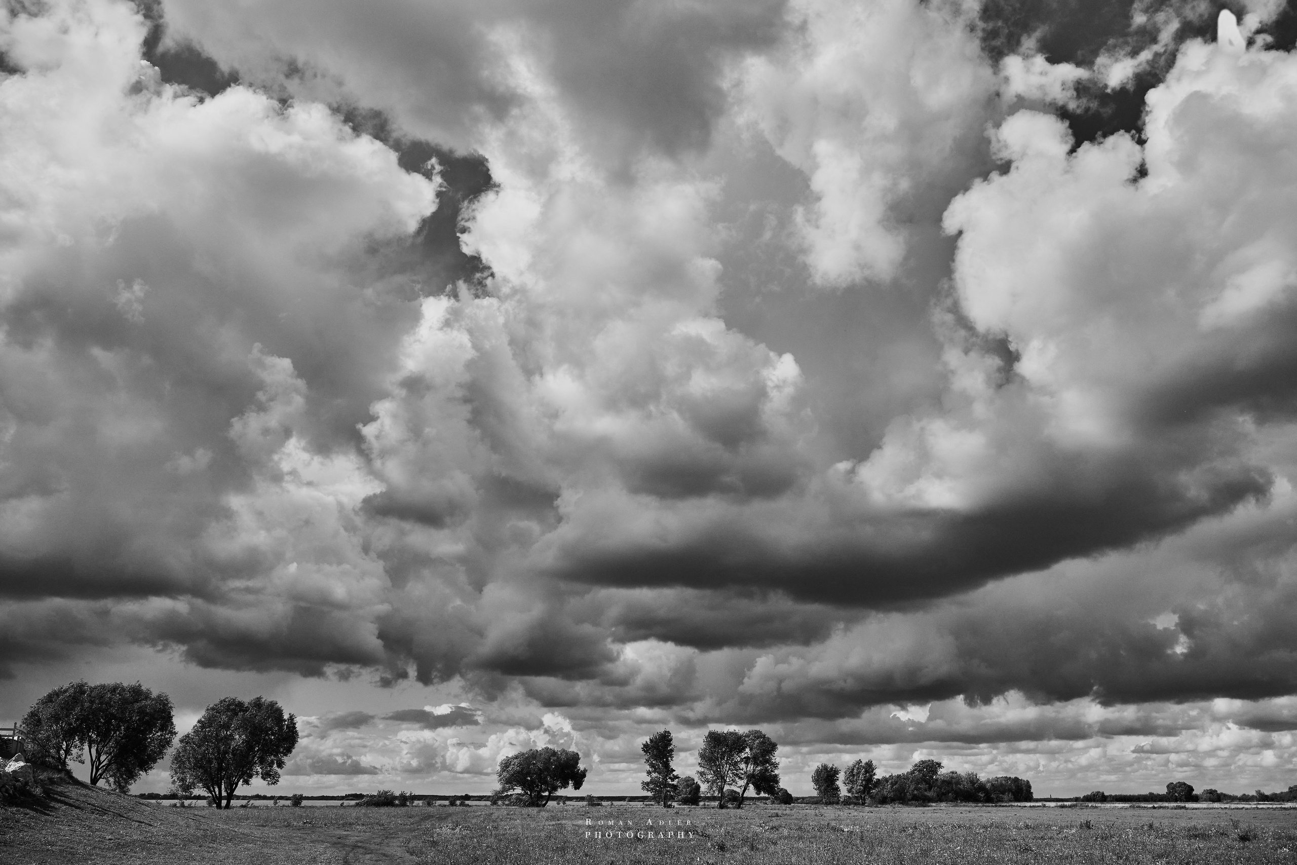 Рязань. Август 2025. Фотограф Роман Адлер