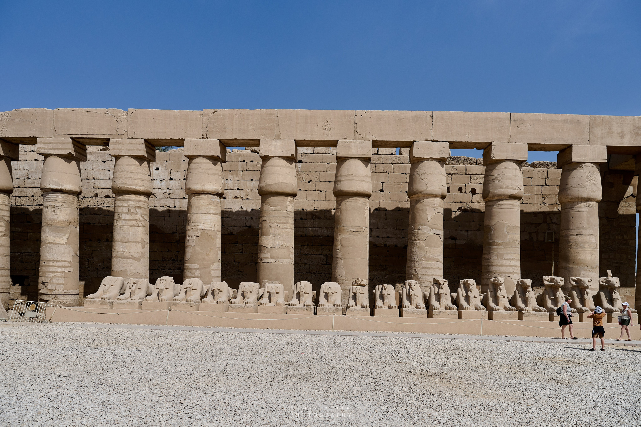 Луксор. Февраль 2025. Фотограф Роман Адлер