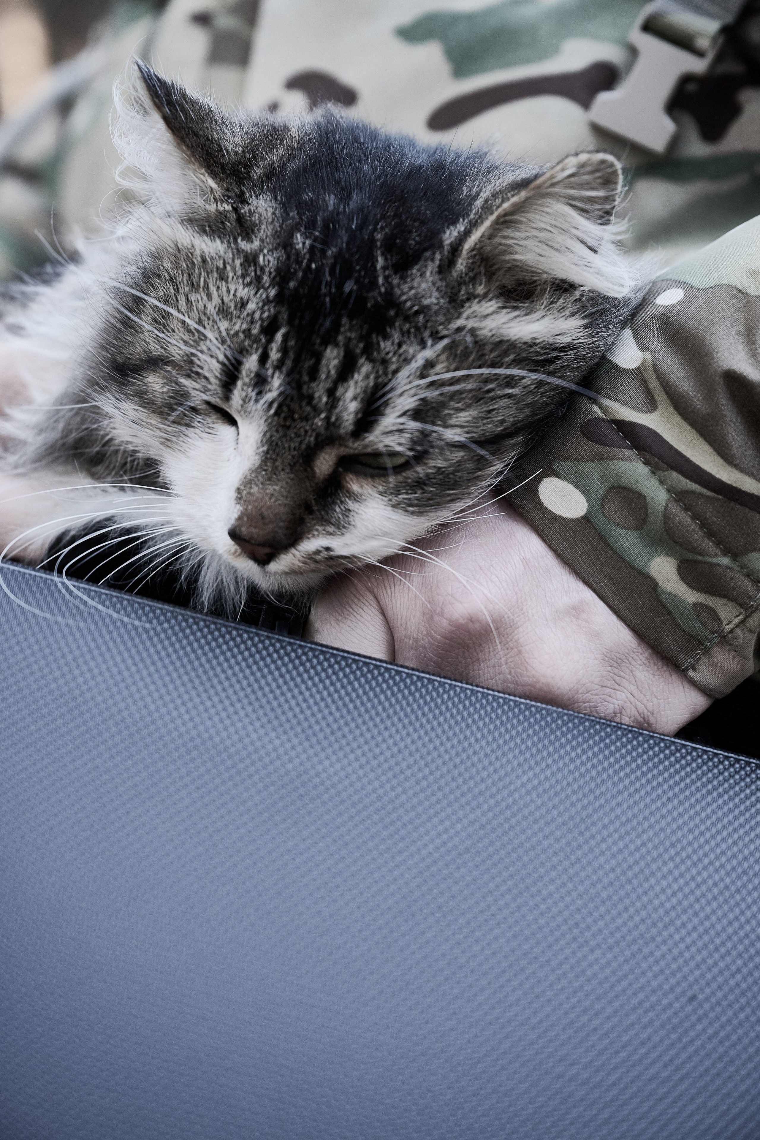 Дороги Территорий. Фотограф Роман Адлер