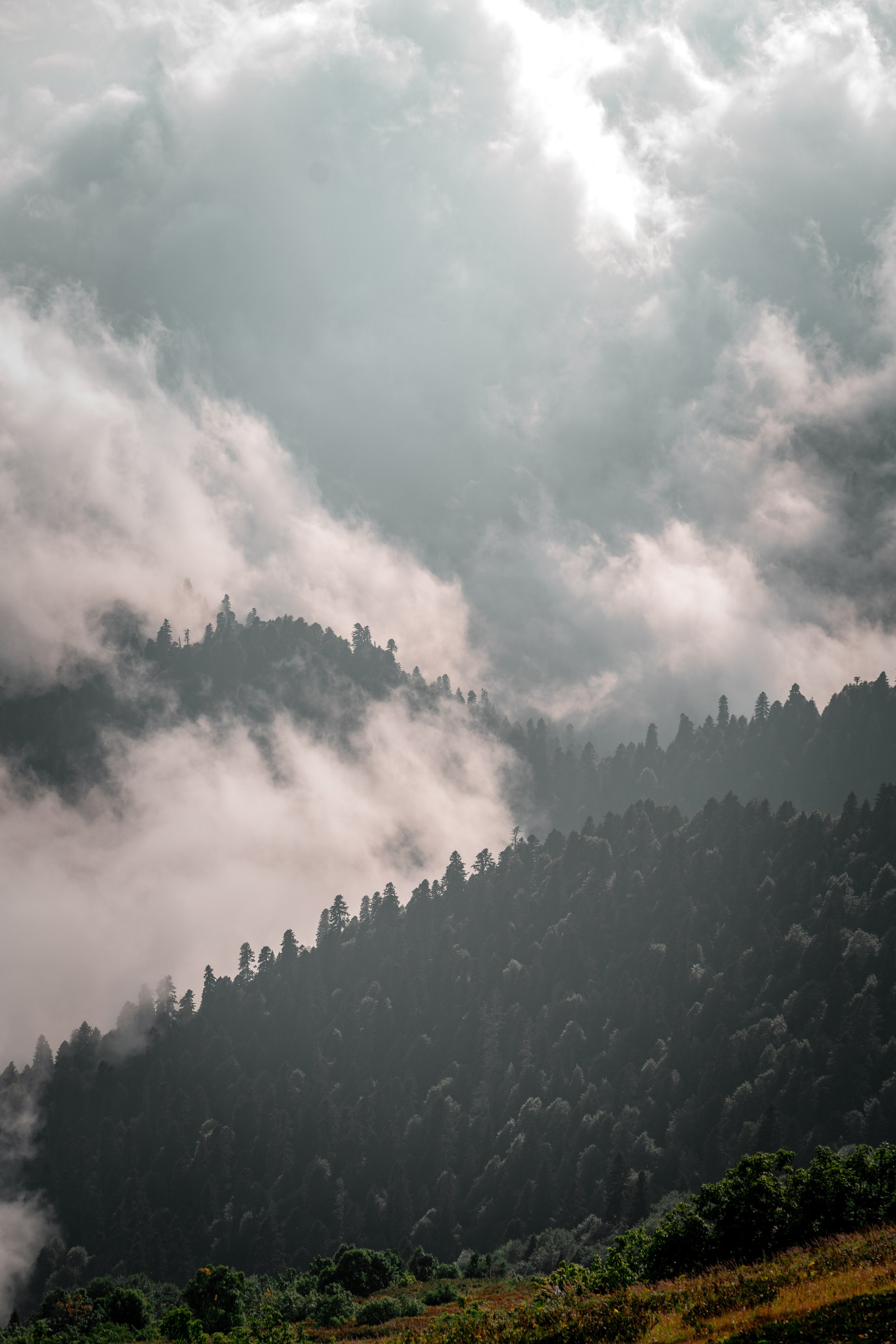 Сочи. Фотограф Александра Волкова | Волгоград