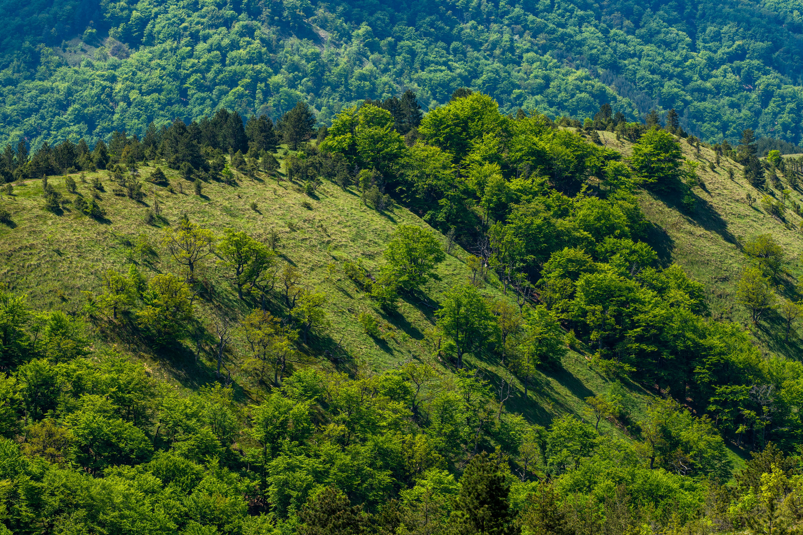 Столови. Сербия. Фотограф в Москве. Шахабудин