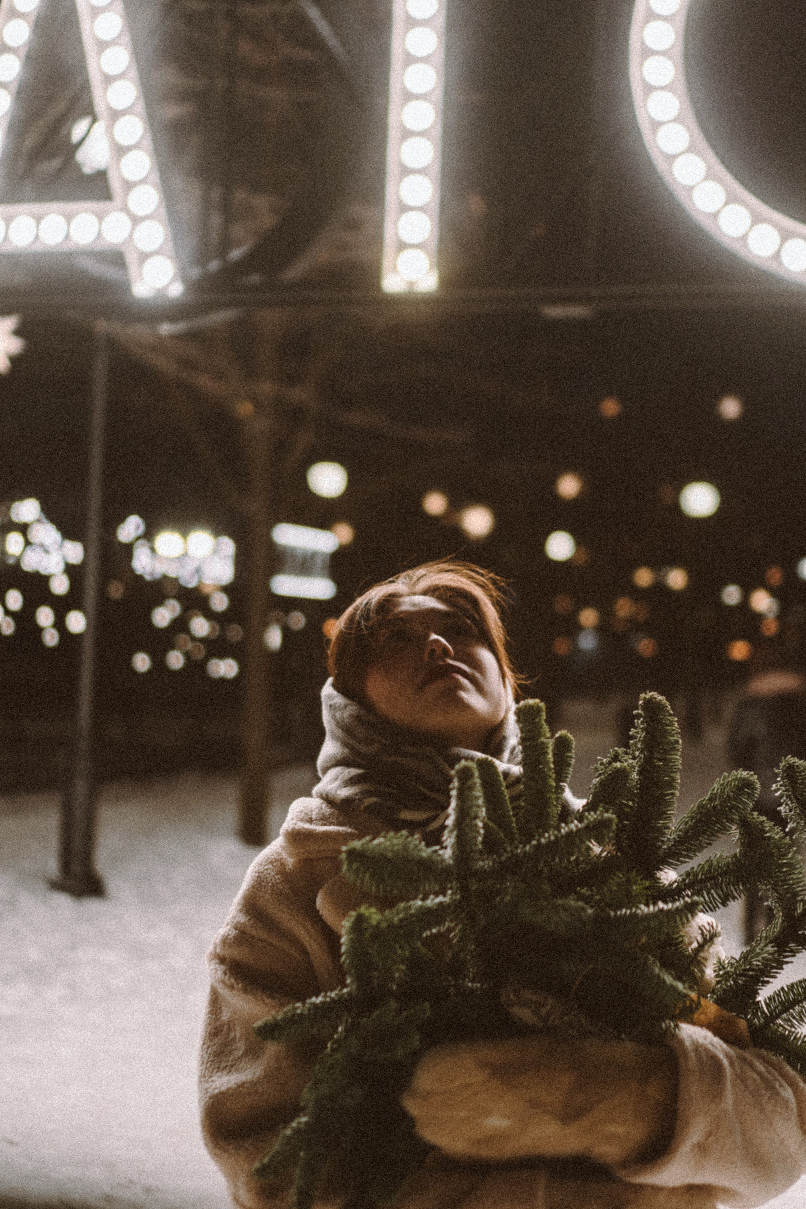 Зимняя сказка в Новой Голандии. Профессиональный фотограф, Санкт-Петербург — Виктория Богомолова