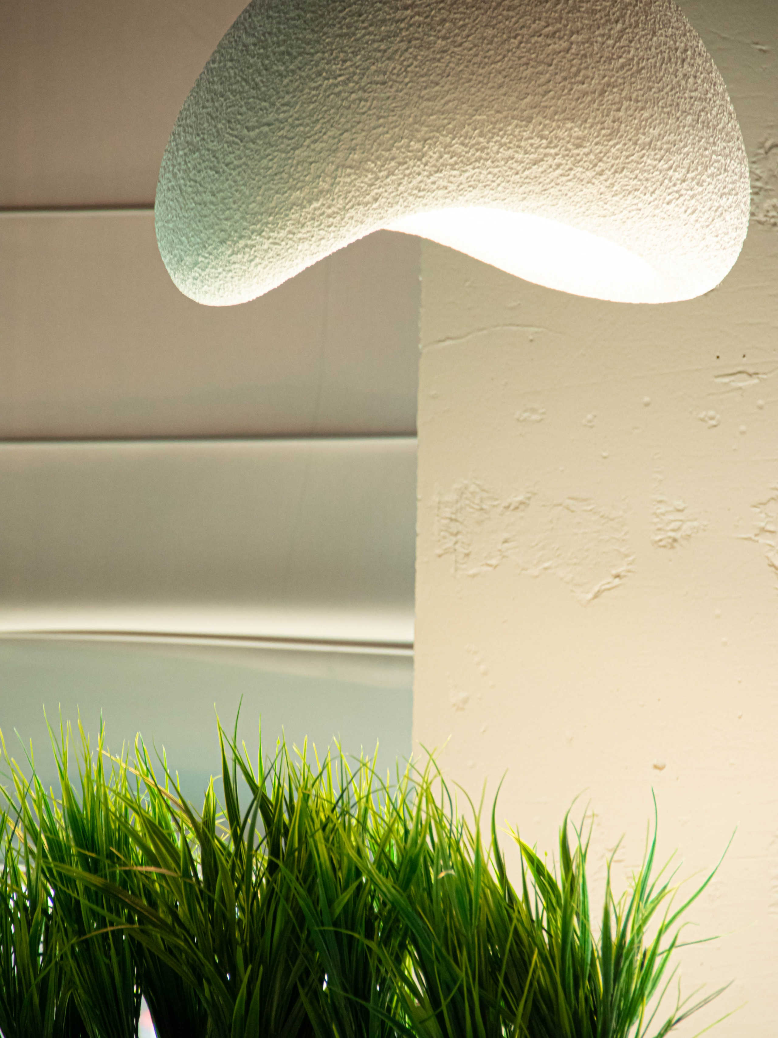 День рождения « Много рыбы». «Матрица»