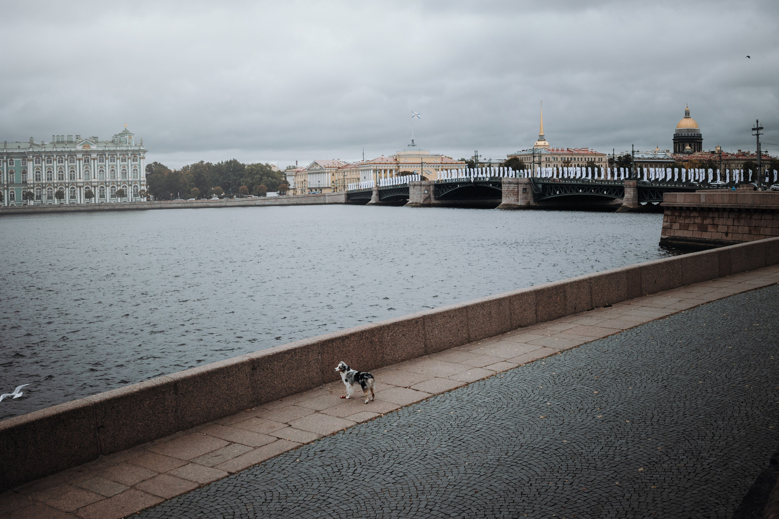 Ирина и Кайса. Фотограф — Анималист | Санкт-Петербург