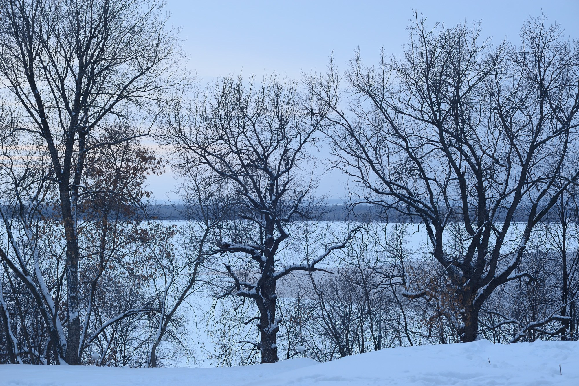 Фотограф Константин Ясинский