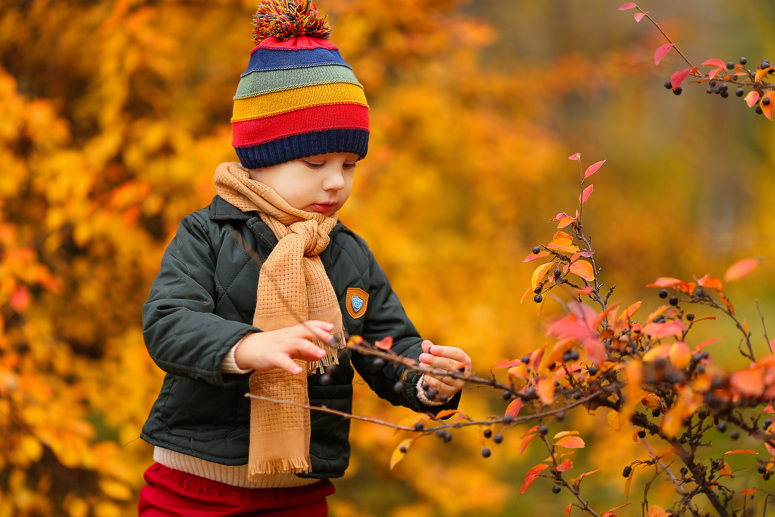 Семейная прогулочная фотосессия в Омске. Фотограф в Омске Таня Бережная