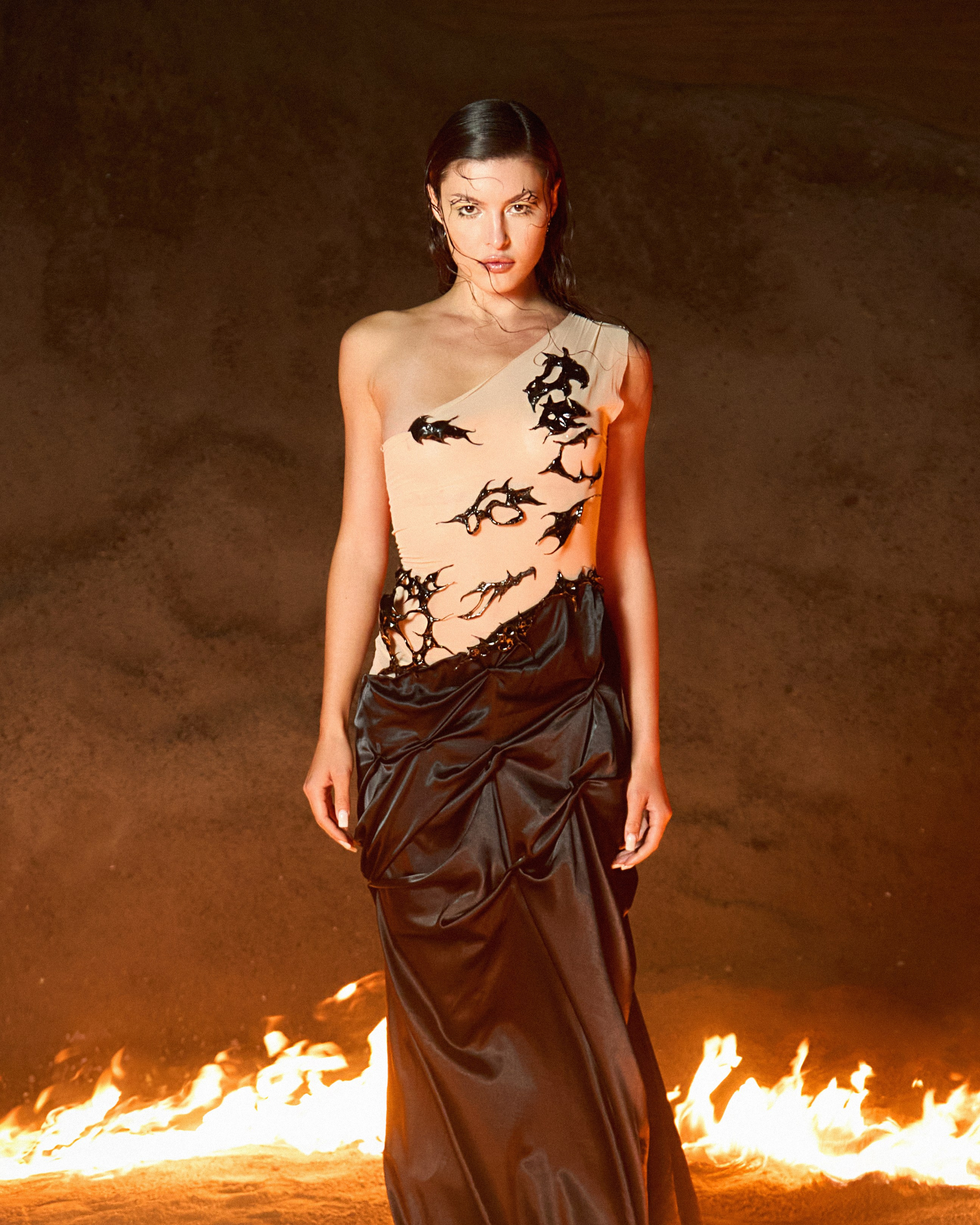 Kışlaya Zmeyka brand. Главная