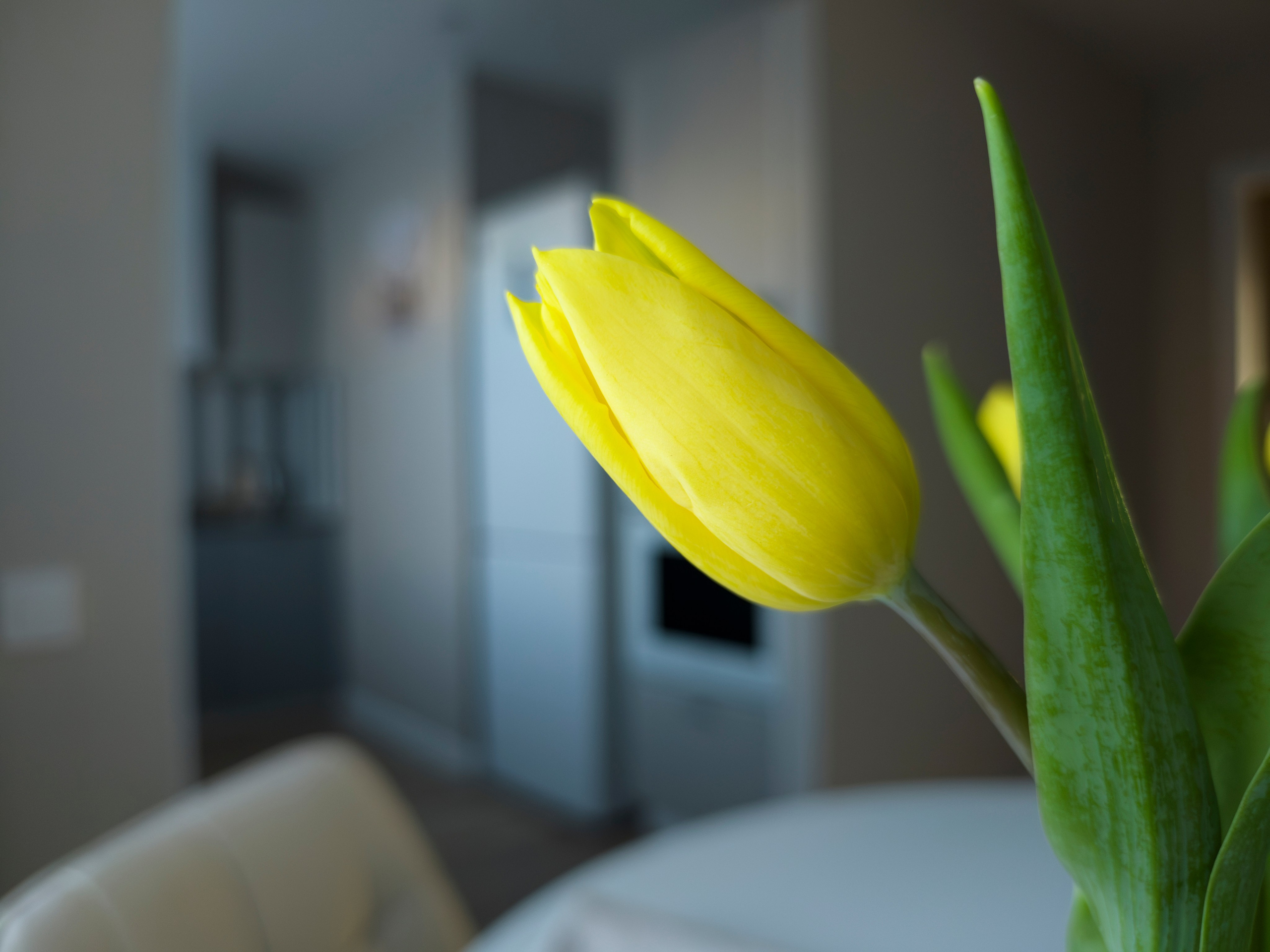 Народная Воля. Хоумстейджинг и дизайн. Екатеринбург