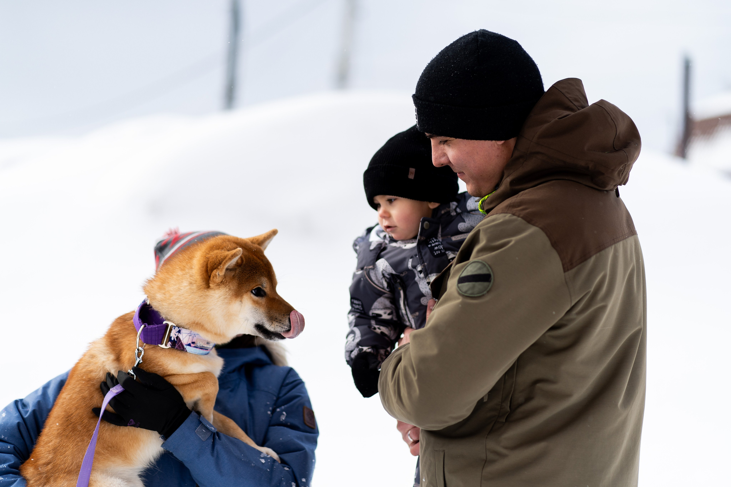 Соня&Лёня. Анастасия Паршукова — фотограф Шерегеш Новосибирск