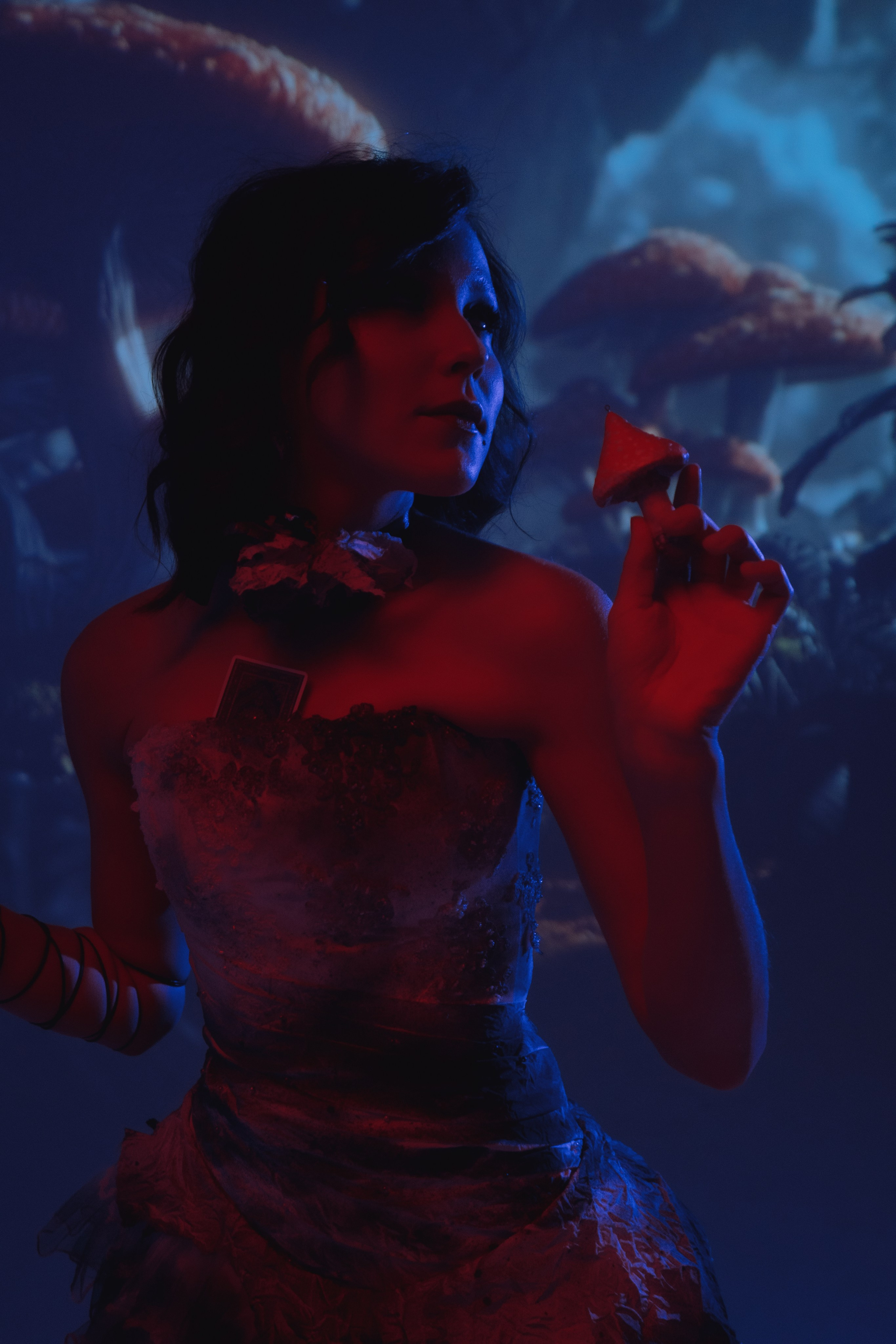 Алиса в стране чудес. Фотограф Алиса Аспер