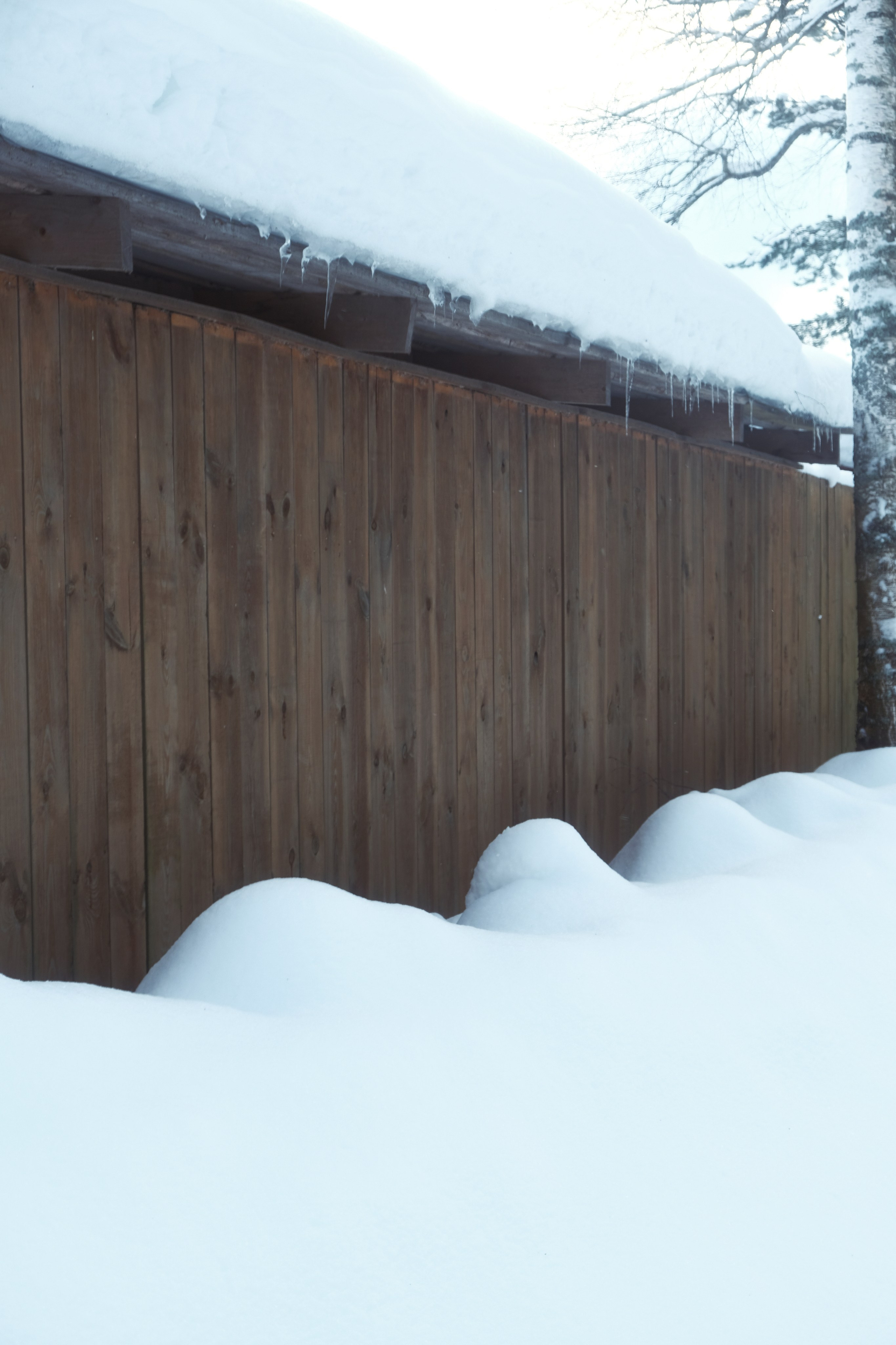 Под Москвой. Фотограф Настя Лев