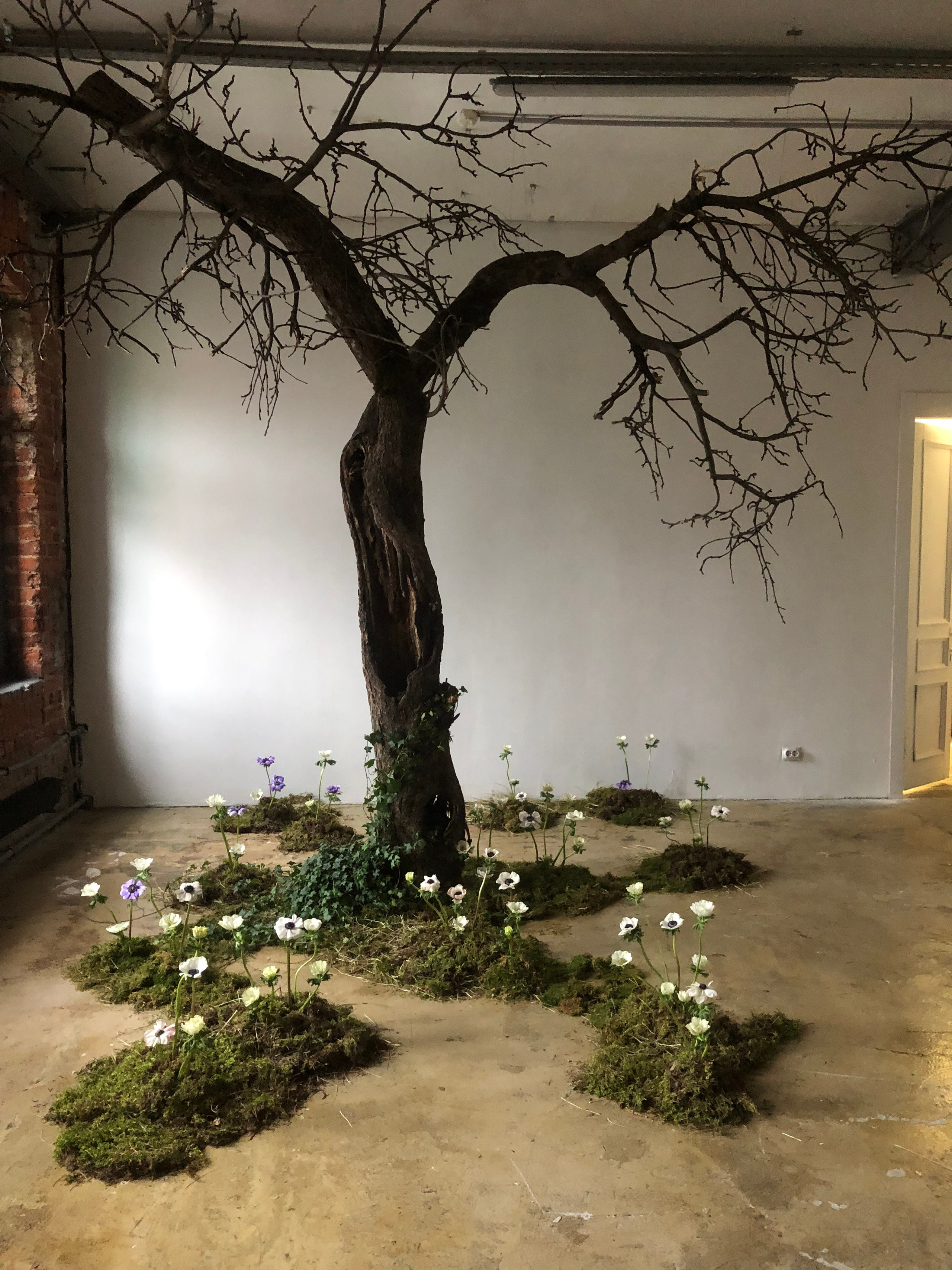 Фотостудия МОХ Зал Сказки. Фотограф Настя Лев