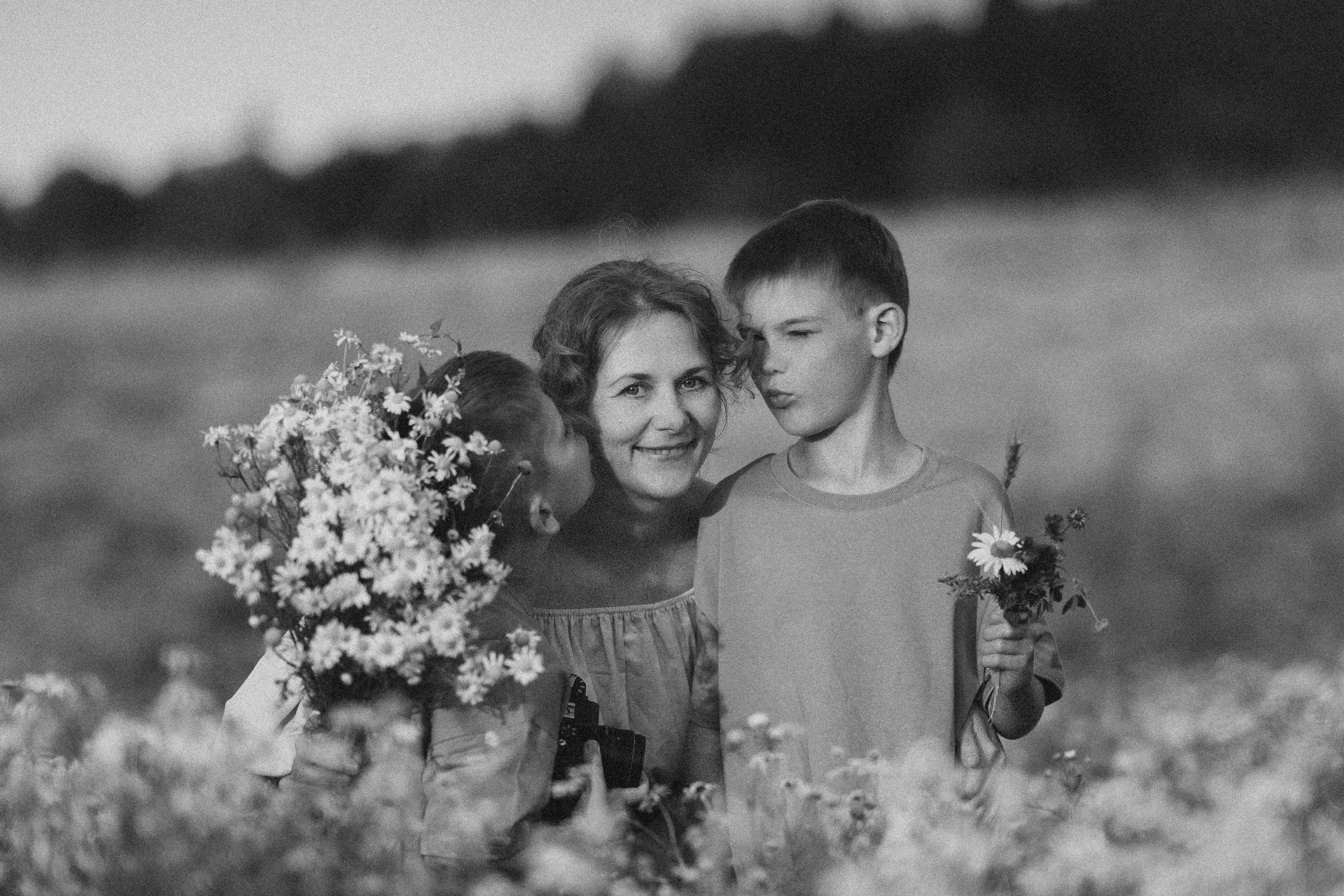 Ромашковое поле. Радонеж. Семейный и детский фотограф в Сергиев Посаде, Хотьково Якимчук Любовь