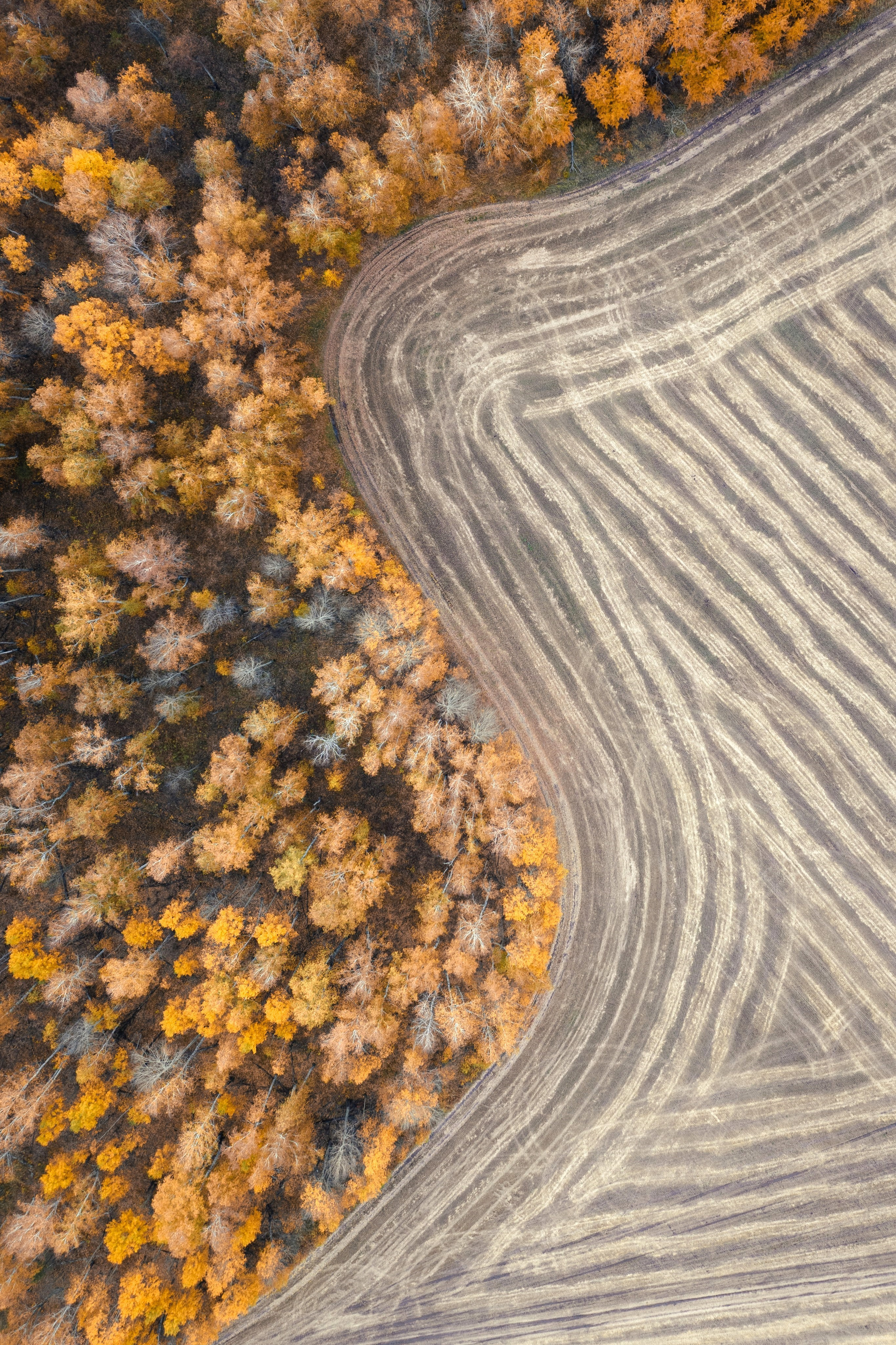 Портфолио. Andrew Gusarov Nature Photography