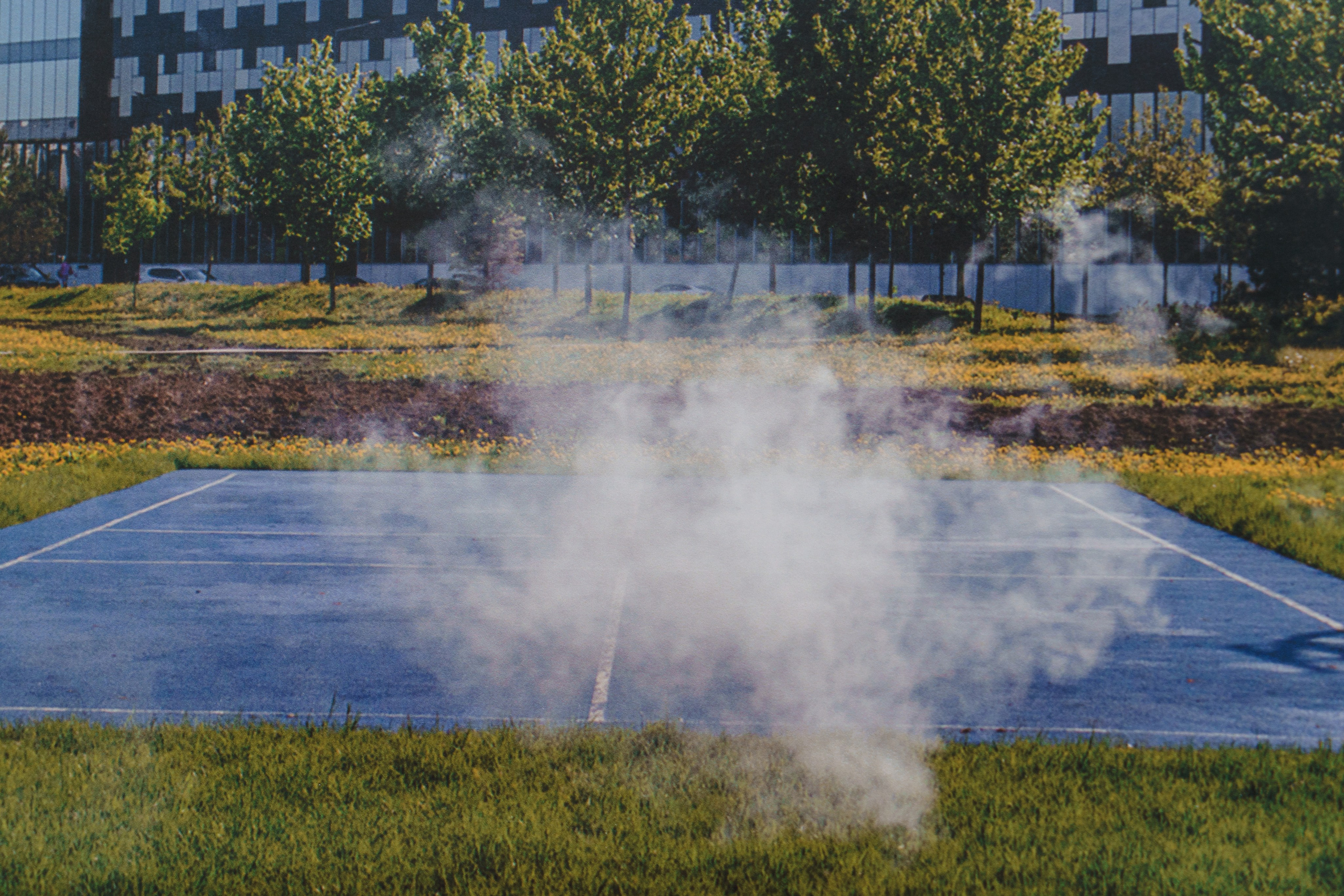 Наблюдение отсутствия. Козлова Екатерина. Междисциплинарная визуальная художница