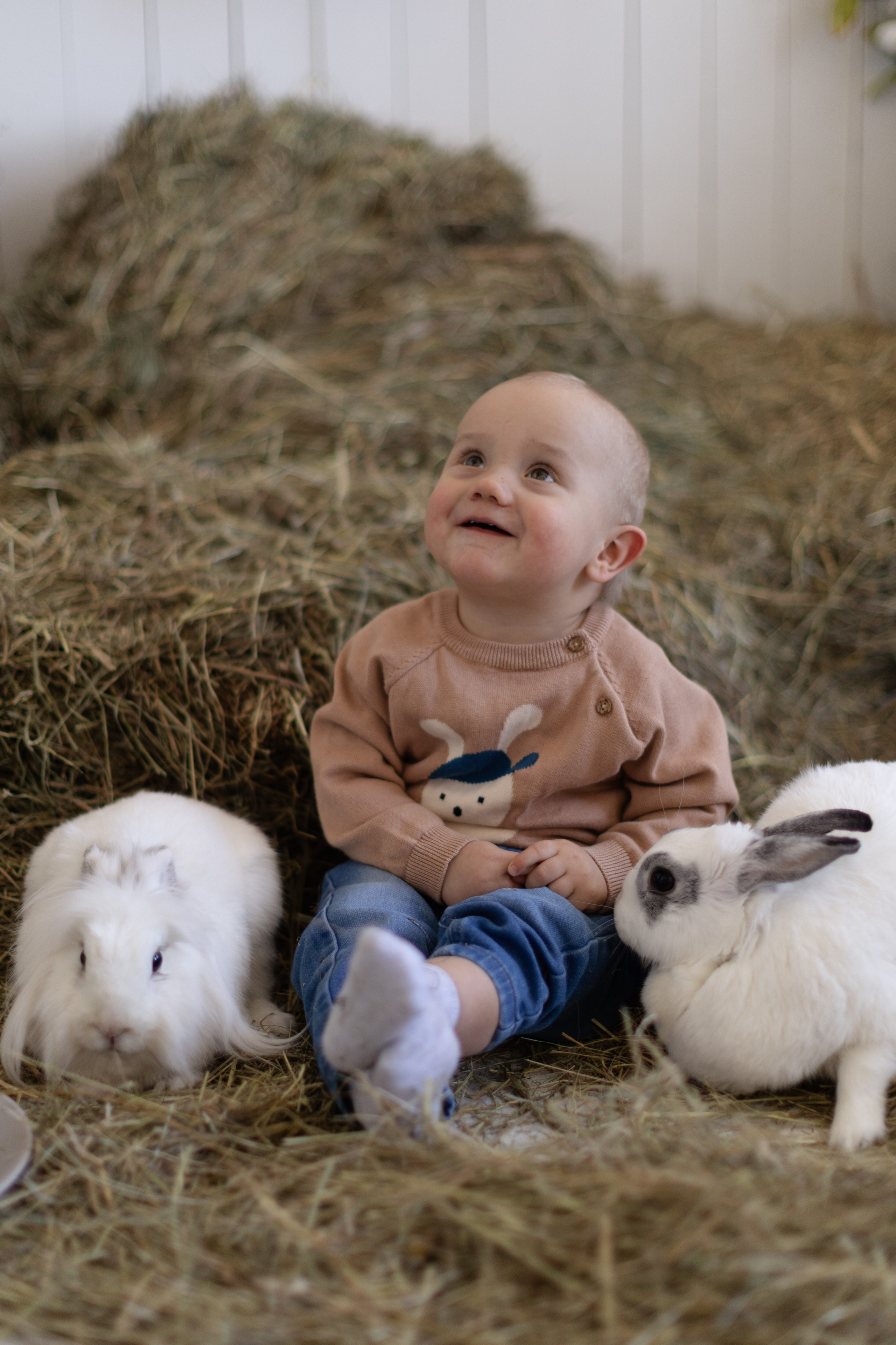 Пасхальные. @dariazphotodays