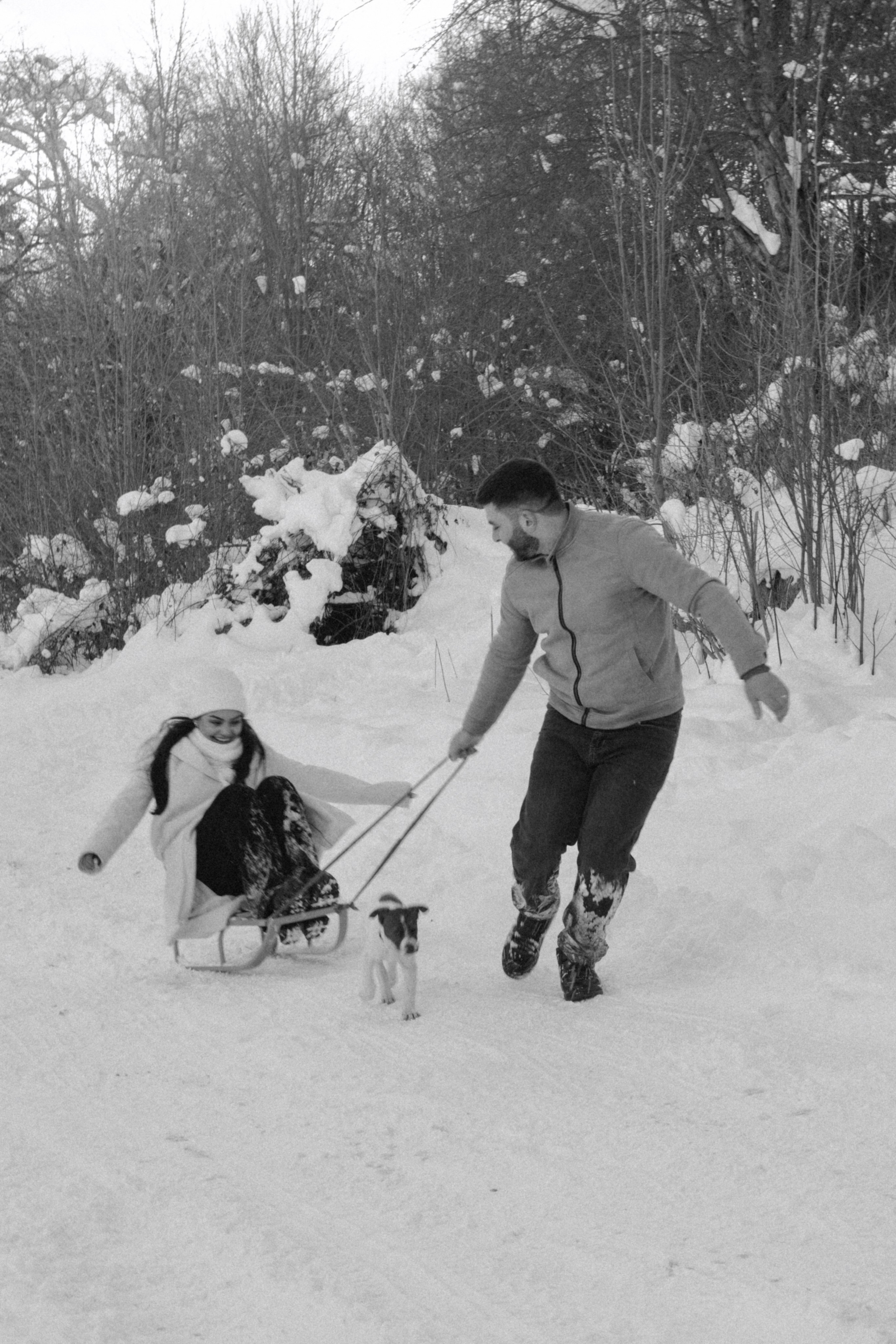 Снежинки. Գլխավոր