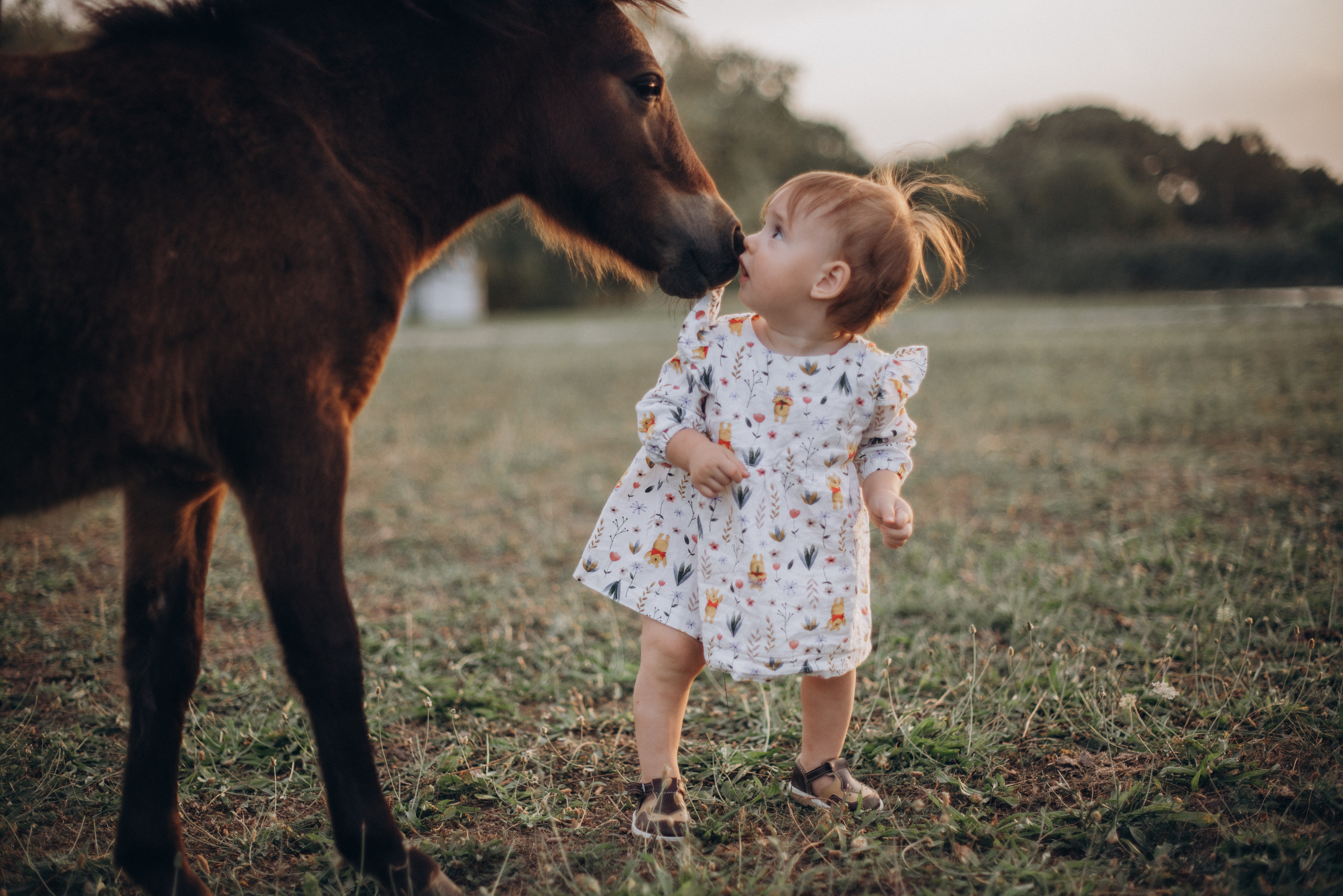 Семейная фотосессия. Детская фотосессия. Свадебный и семейный фотограф в Краснодаре Листкова Галина
