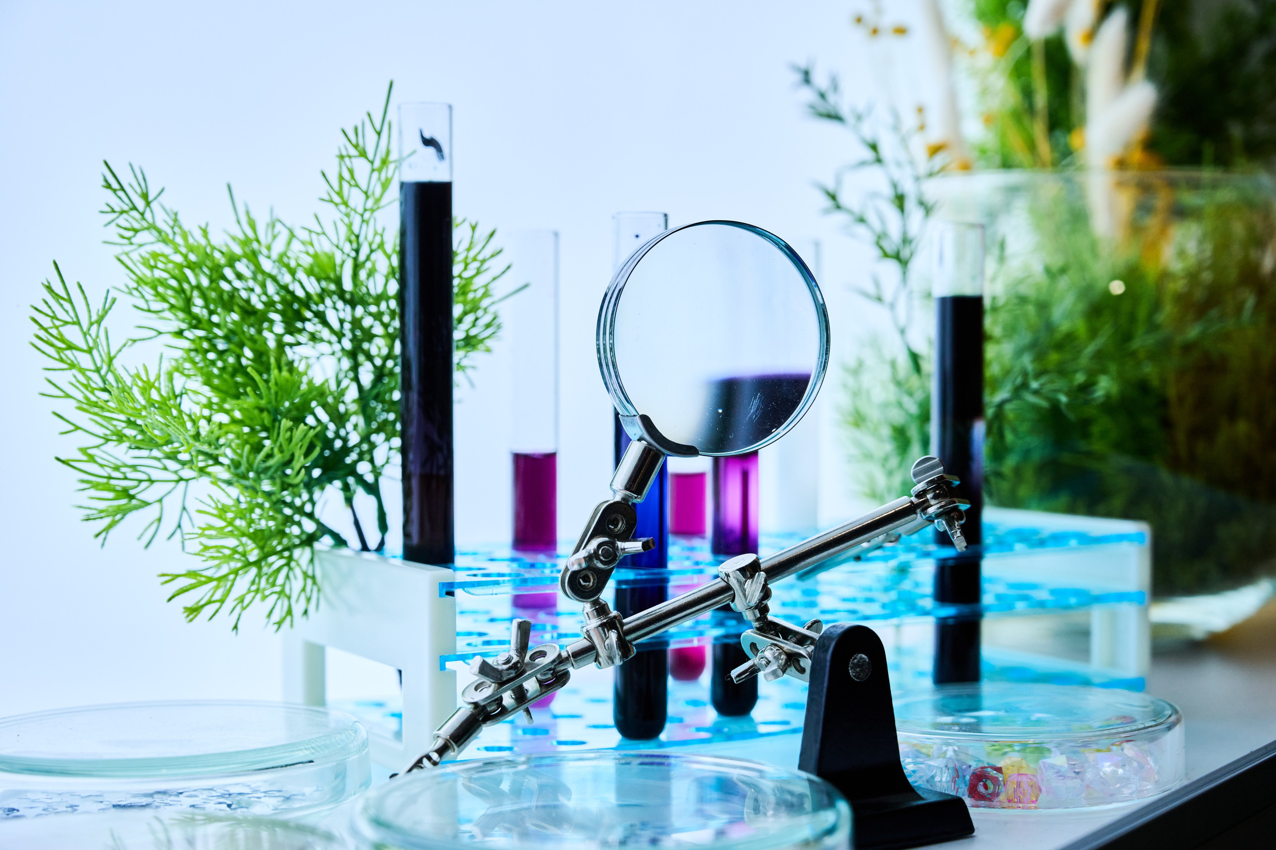 Интерьеры Усадьбы Деда Мороза. Никита Хохловский фото и видео продакшн