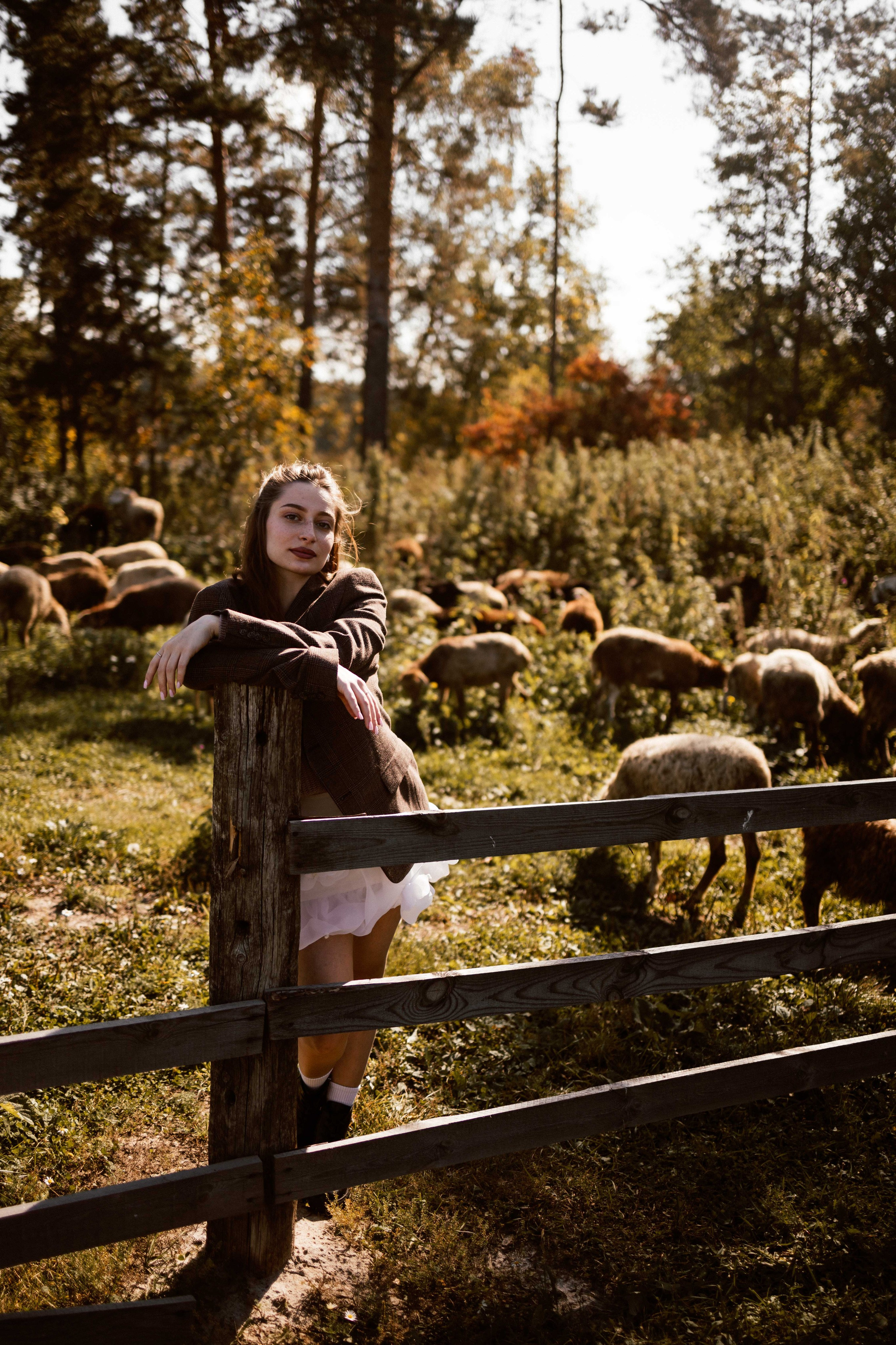 Фотосессия с овечками для Ксюши. Фотограф в Тюмени Башмакова Анна
