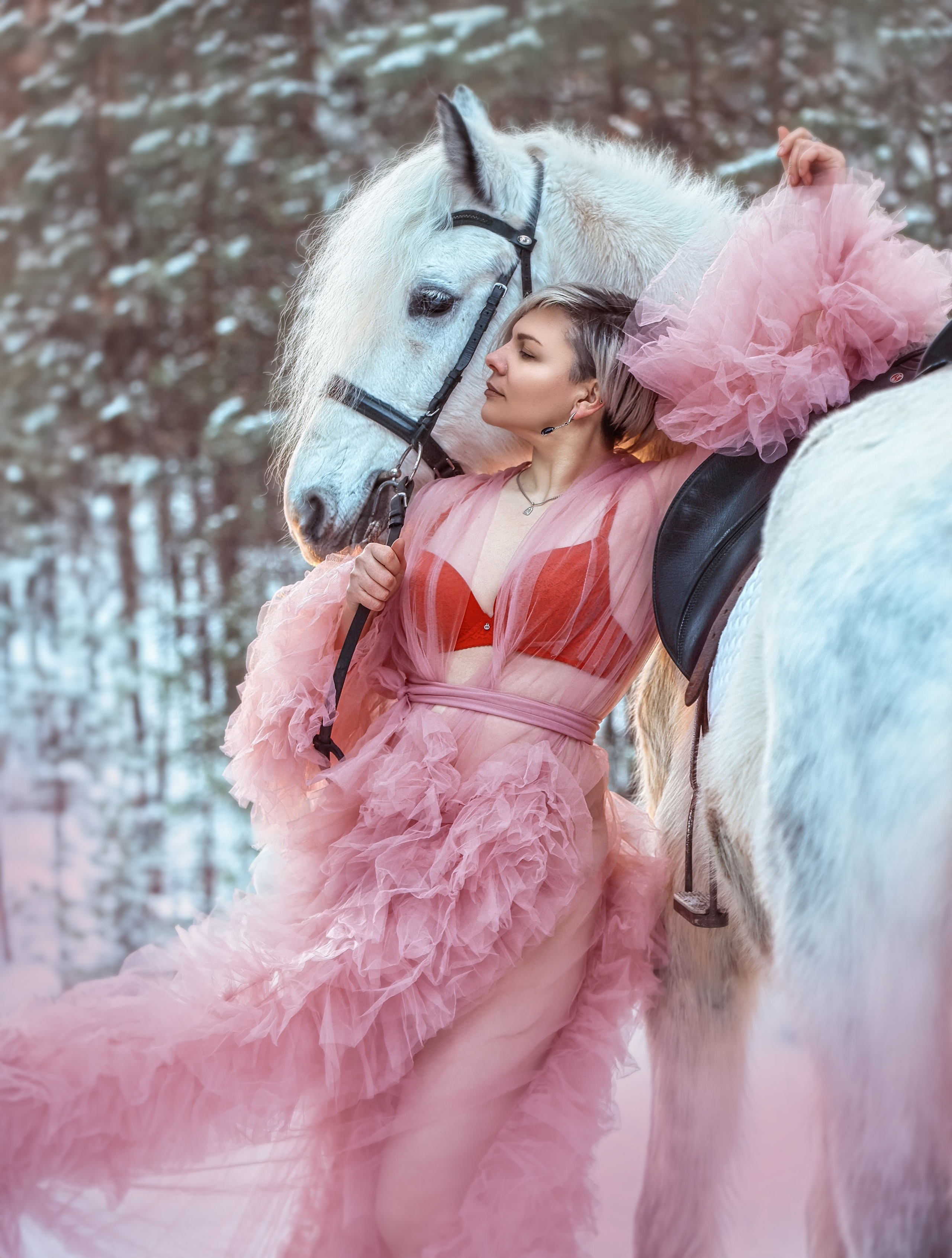Феникс. Конный фотограф в Красноярске — Любовь Похабова
