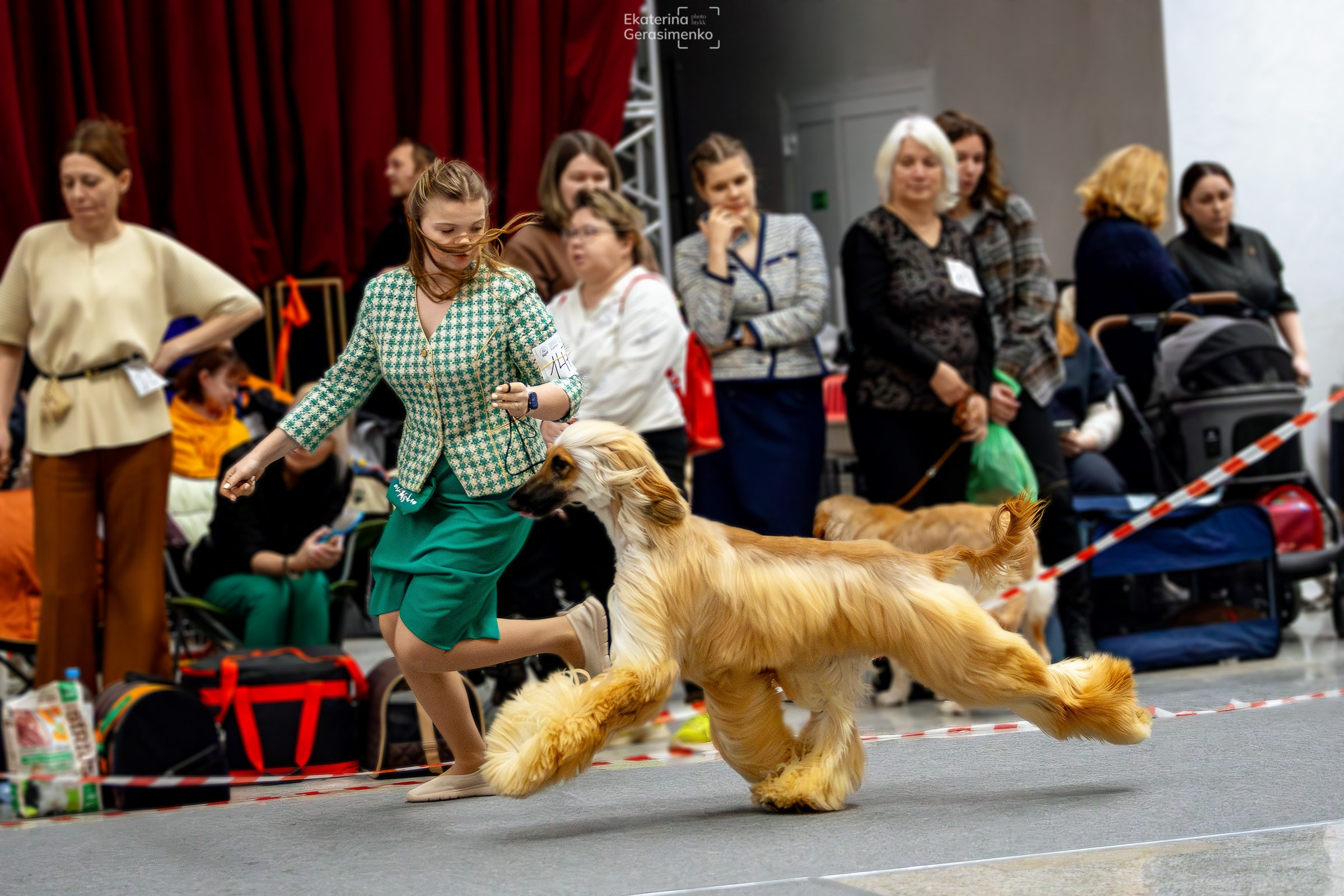 18 января 2025, Выставка РКФ, г. Пермь. Htykk_photo