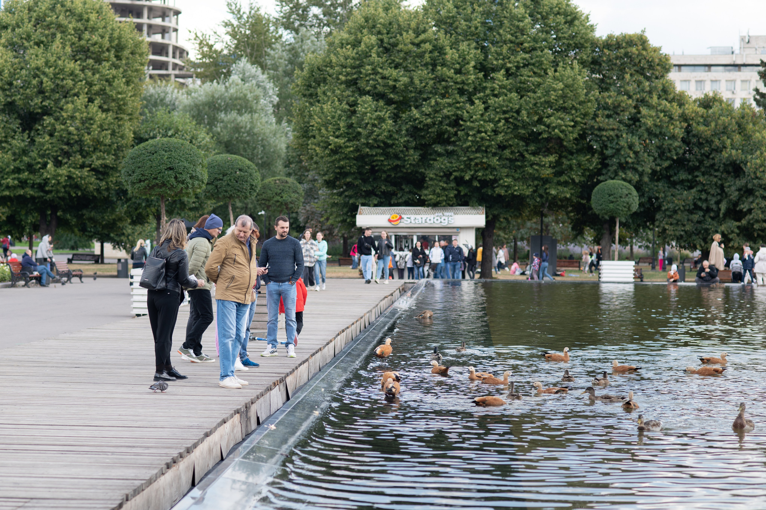 20220904 Парк Горького. Дмитрий Ремизов. Фотография, как хобби